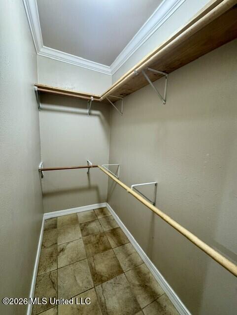 6 Turtle Lane Property Photo 20