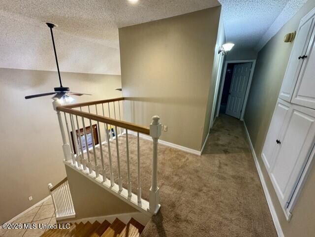 6 Turtle Lane Property Photo 28
