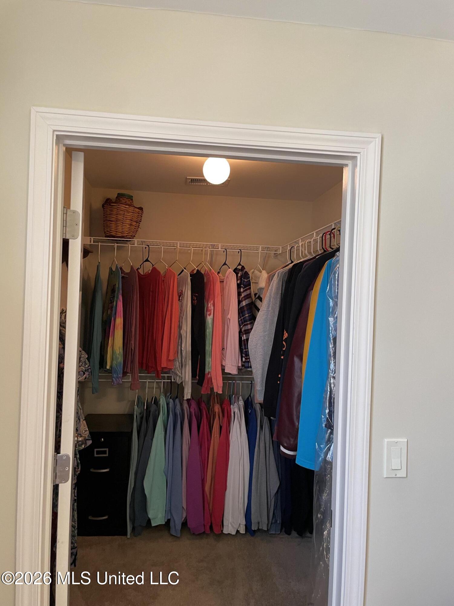 8925 Oak Branch Lane Property Photo 33