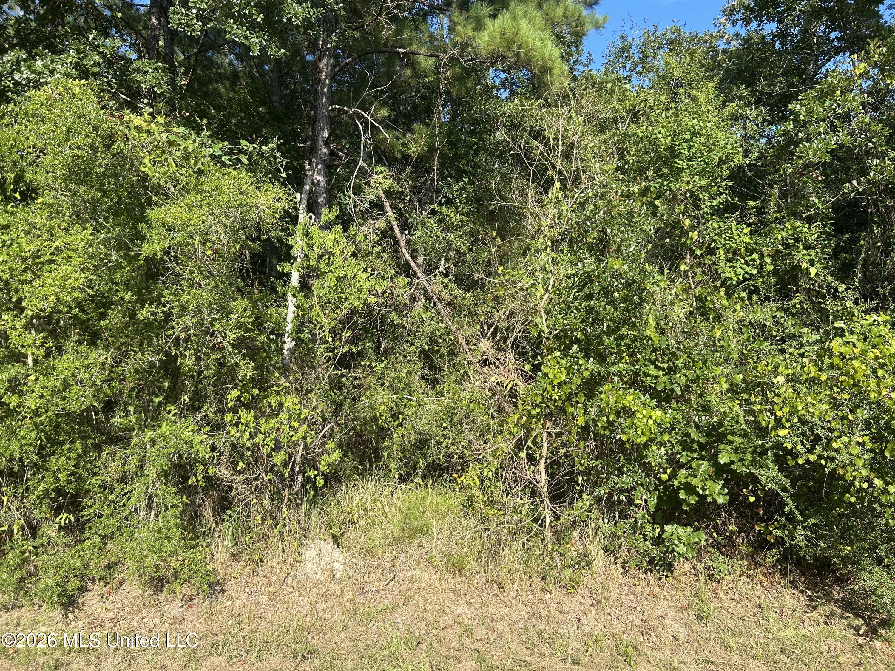 Garfield Street Property Photo 2