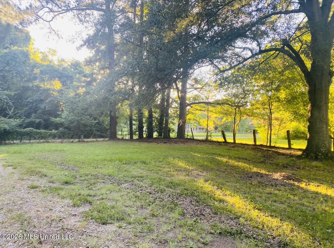 8910 Old Highway 61 Property Photo 2