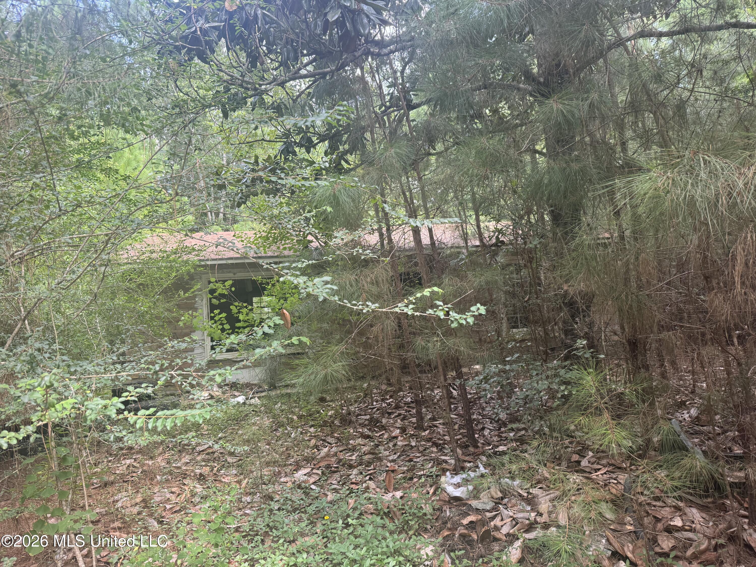 22074 Hightower Road Property Photo 4
