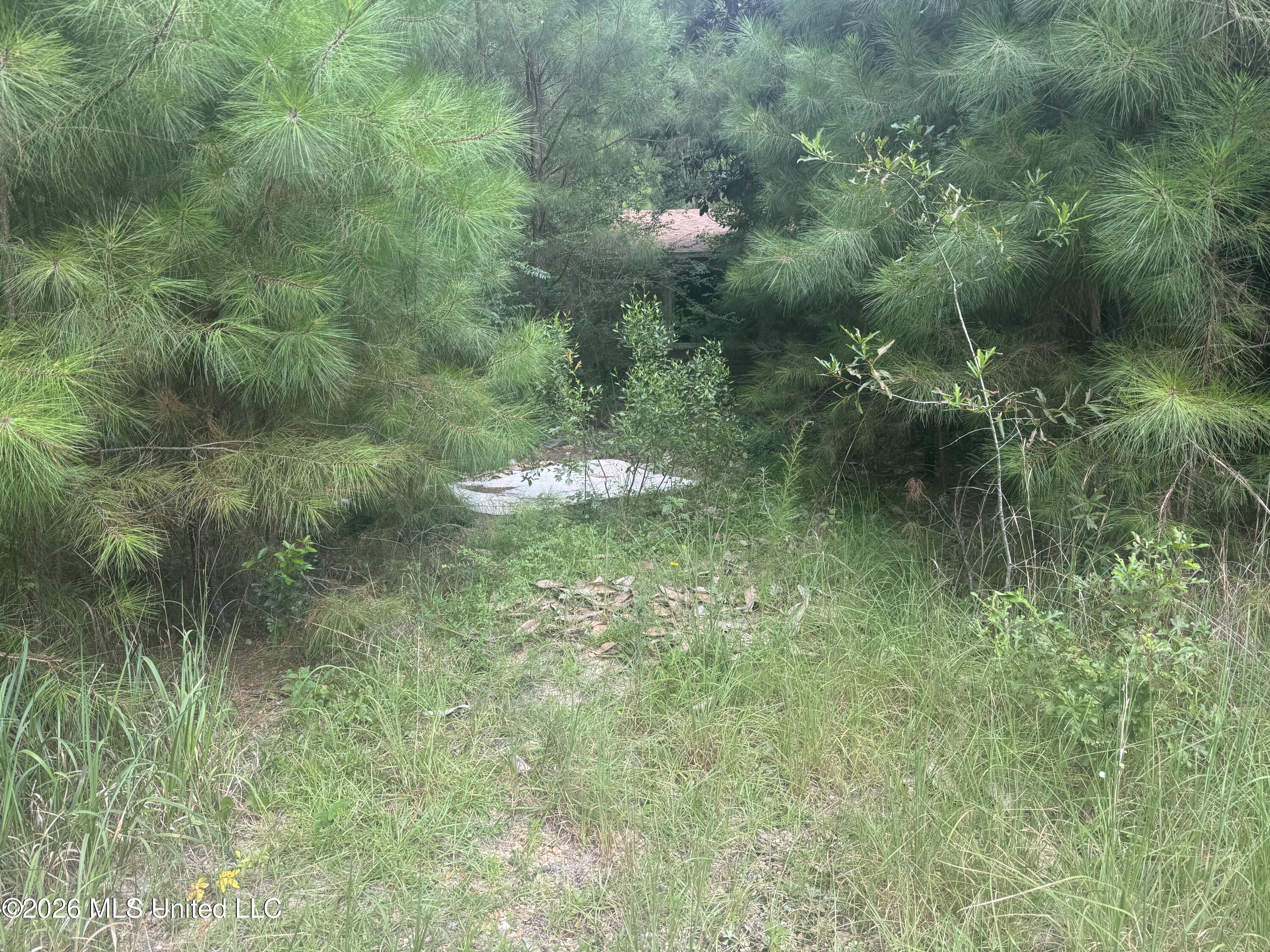 22074 Hightower Road Property Photo 24