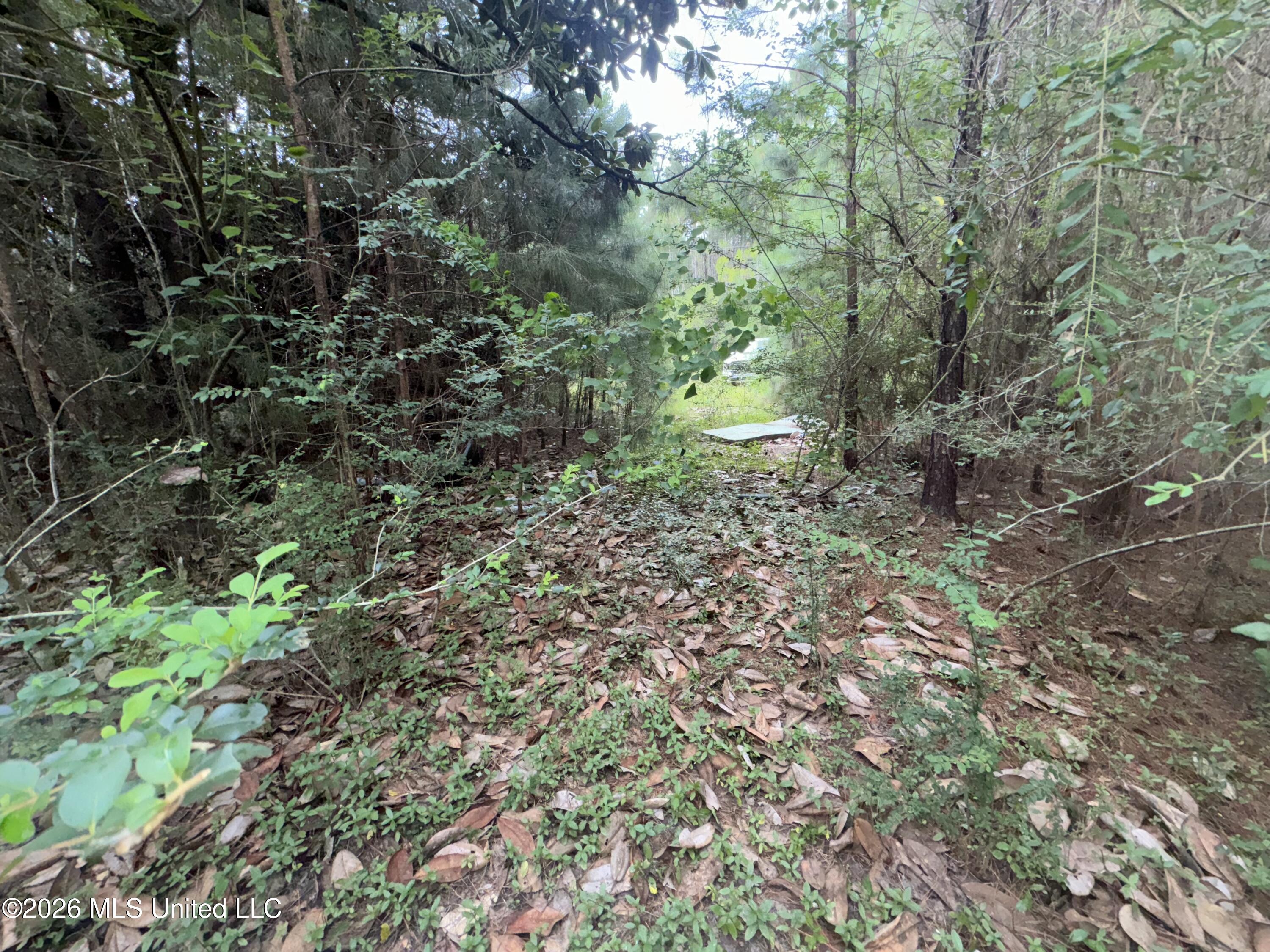 22074 Hightower Road Property Photo 26