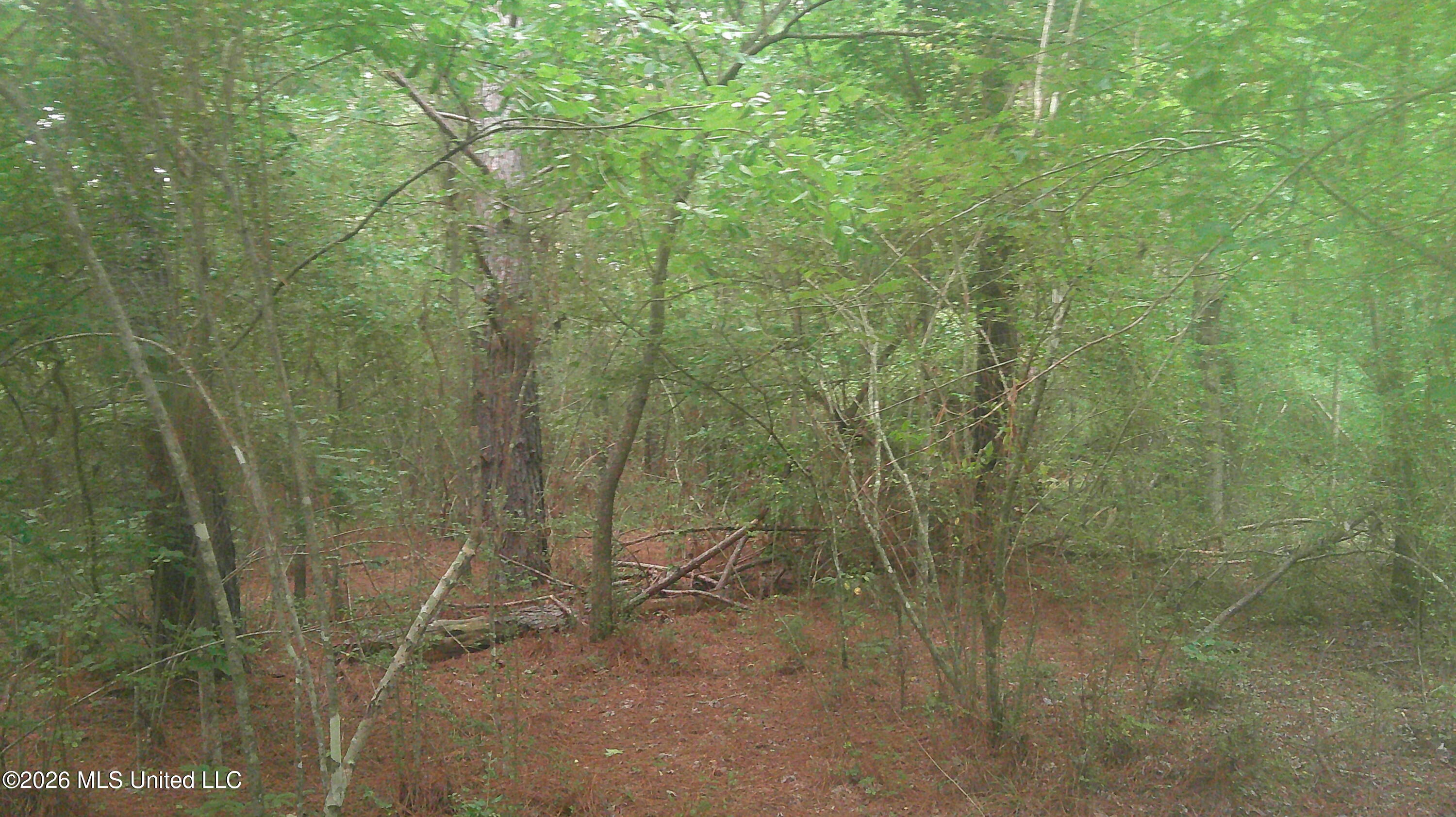 Will Glenn Road Property Photo 3