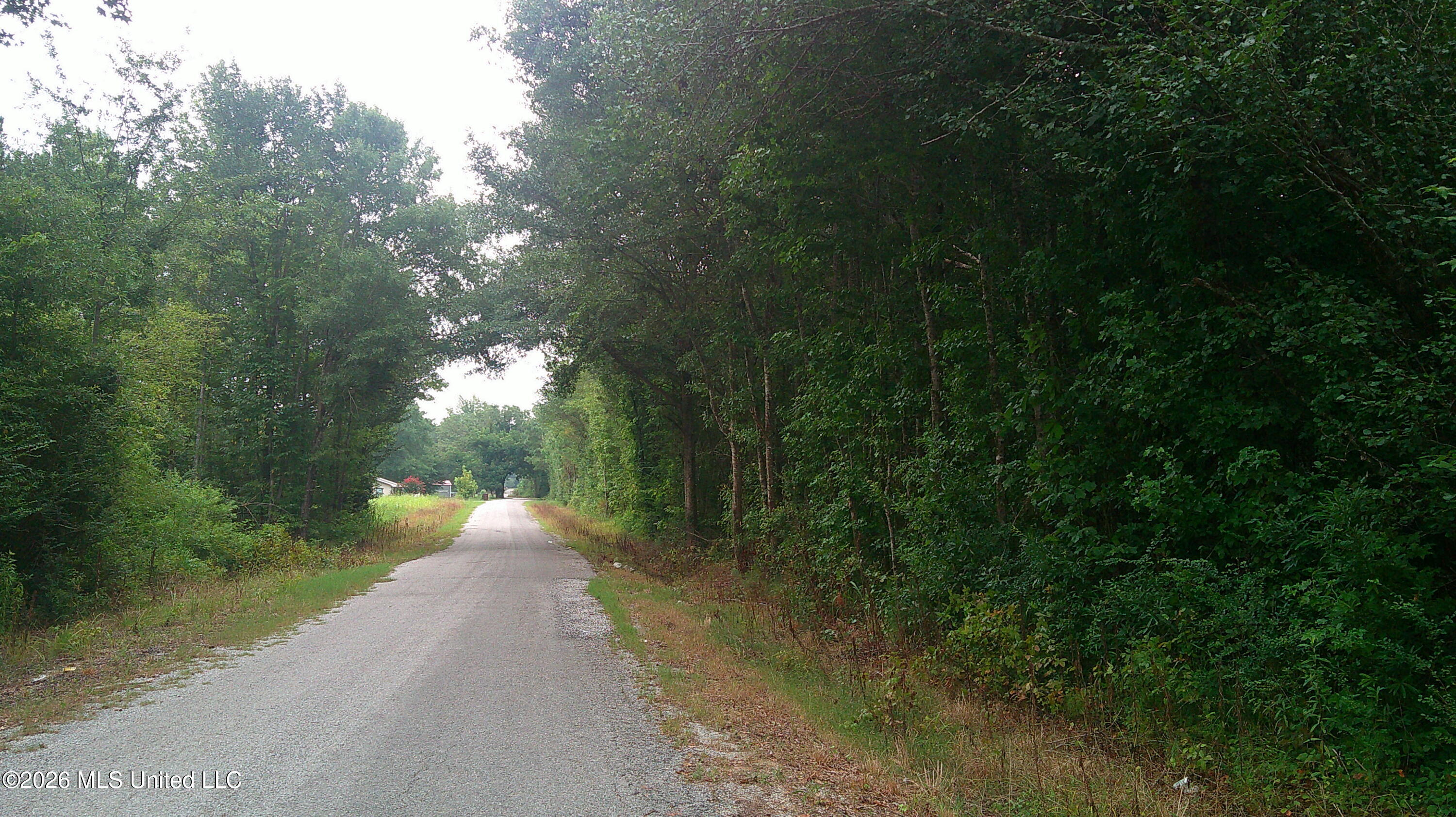Will Glenn Road Property Photo 10