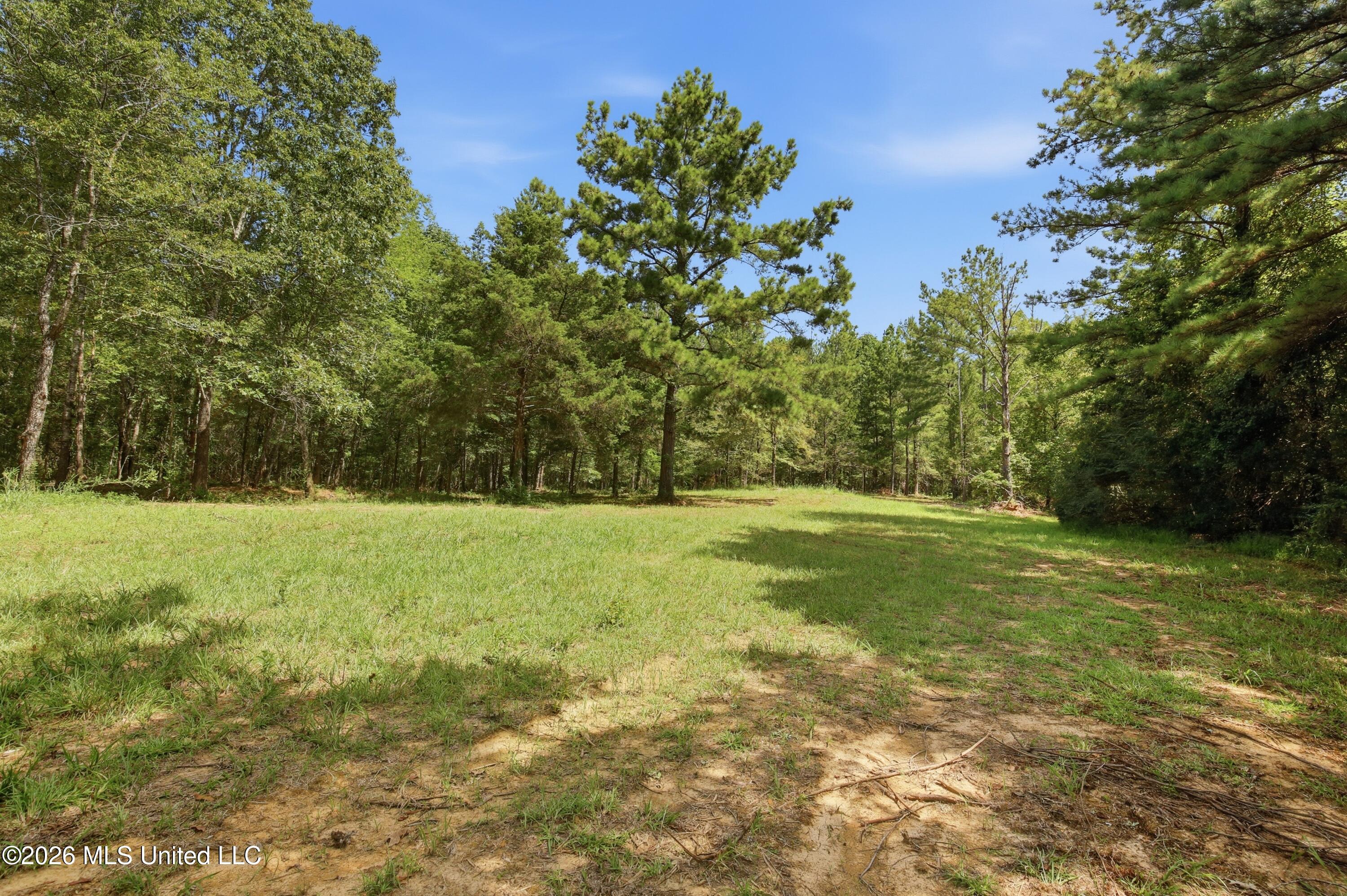 478 Potluck Road Property Photo 3