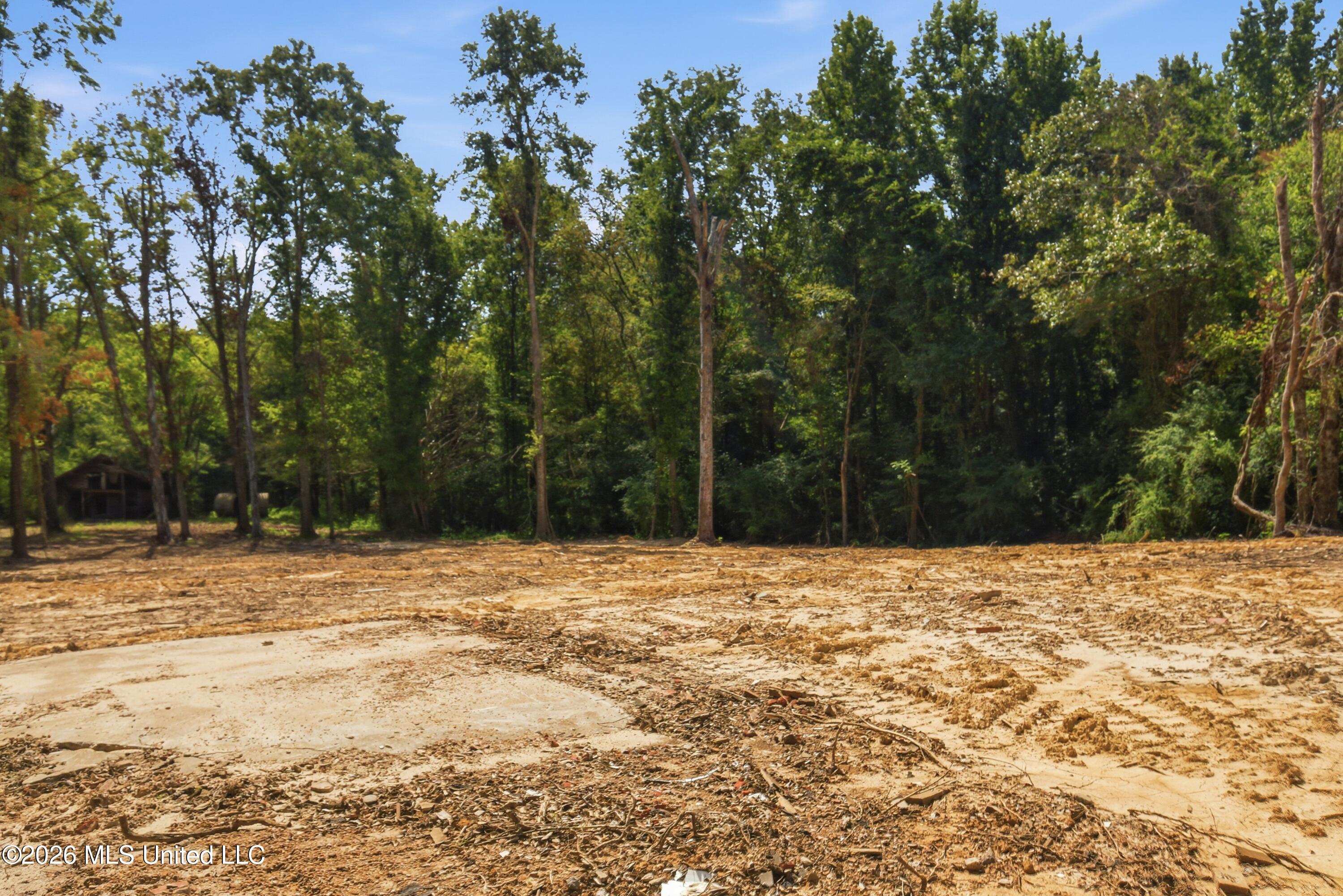 478 Potluck Road Property Photo 5