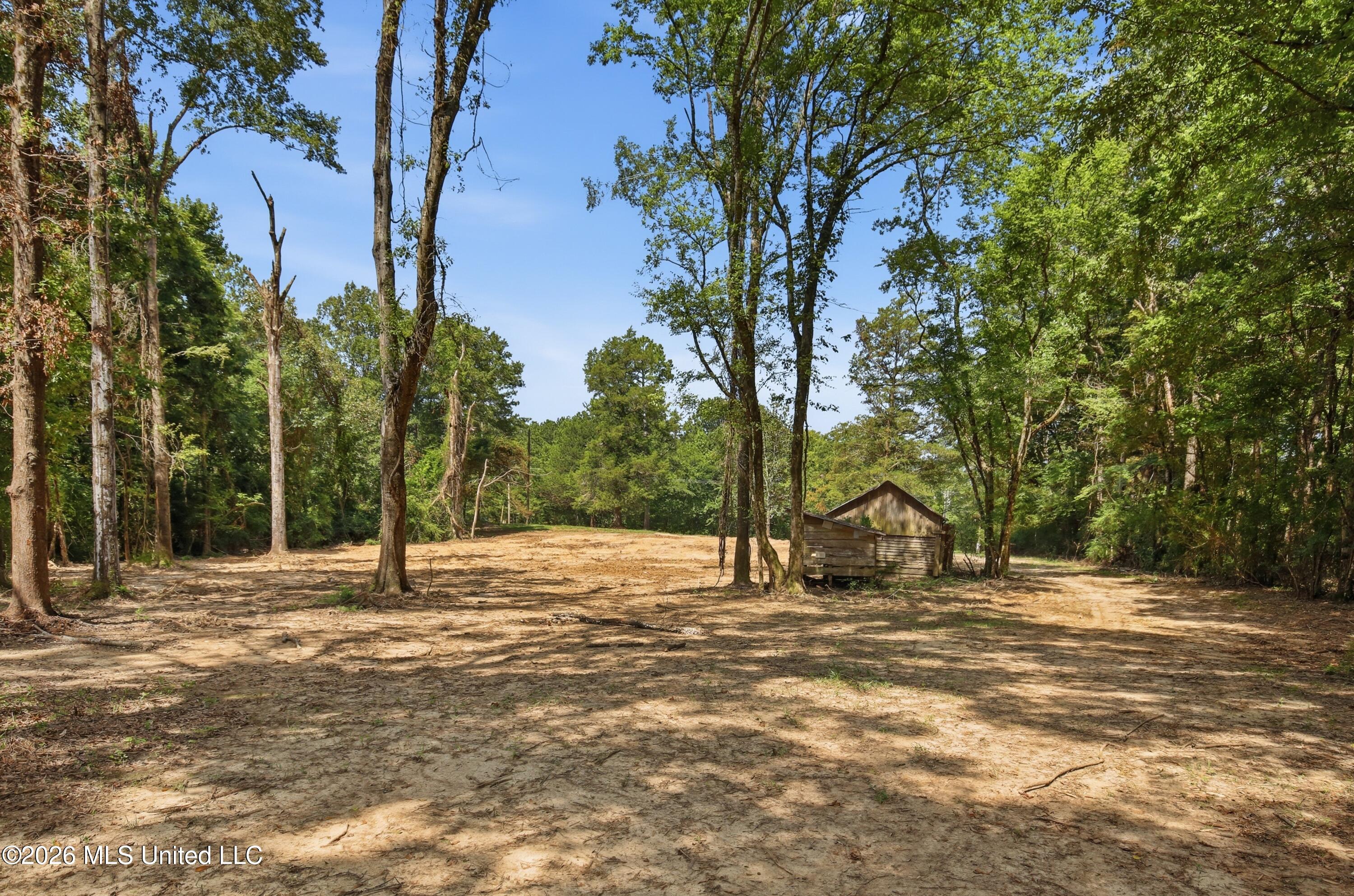 478 Potluck Road Property Photo 10