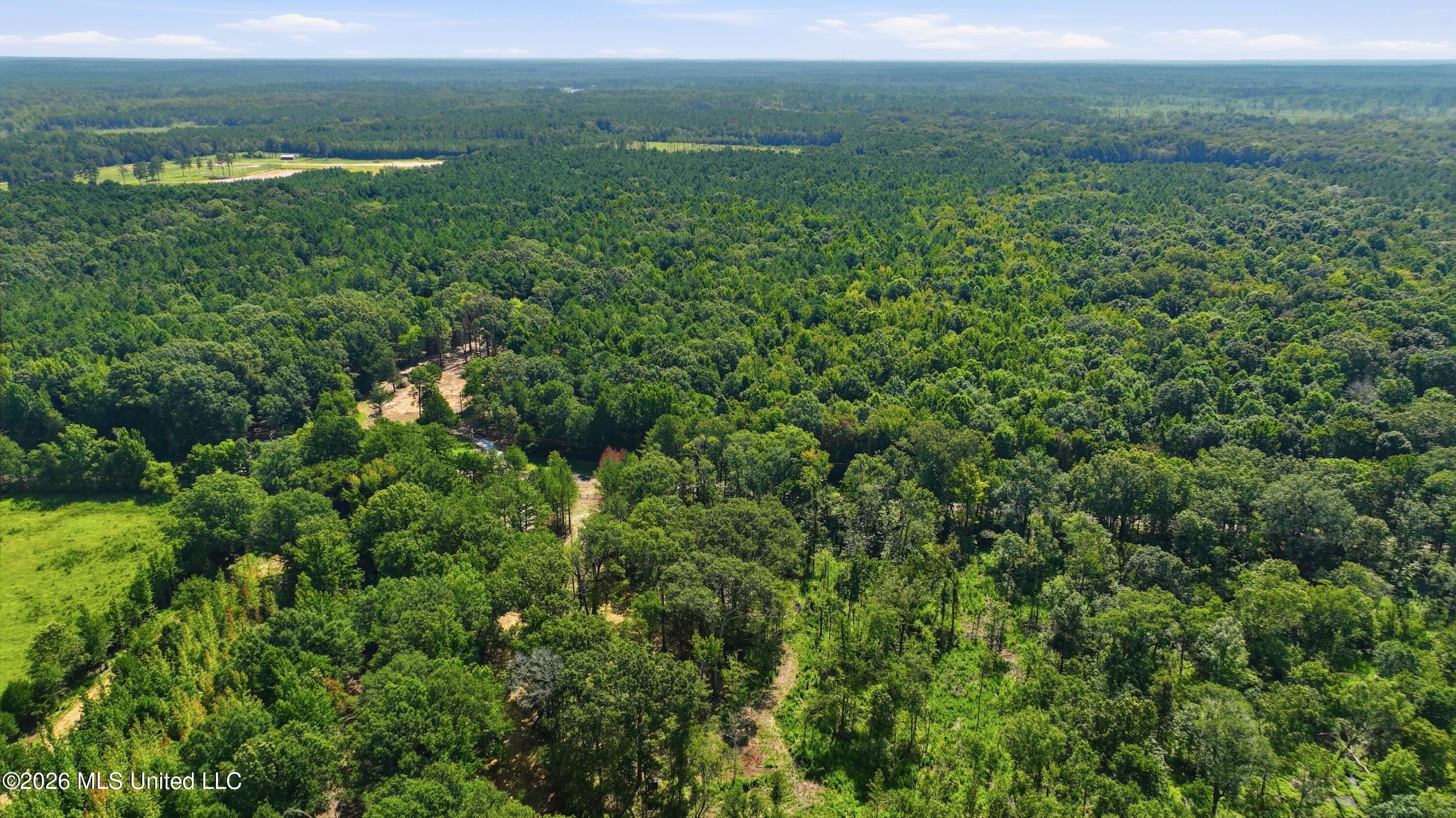 478 Potluck Road Property Photo 14