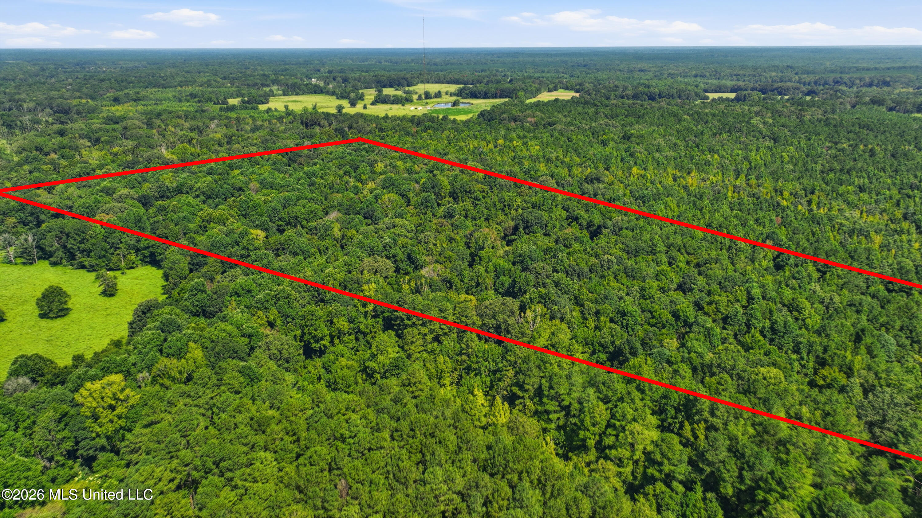 478 Potluck Road Property Photo 35
