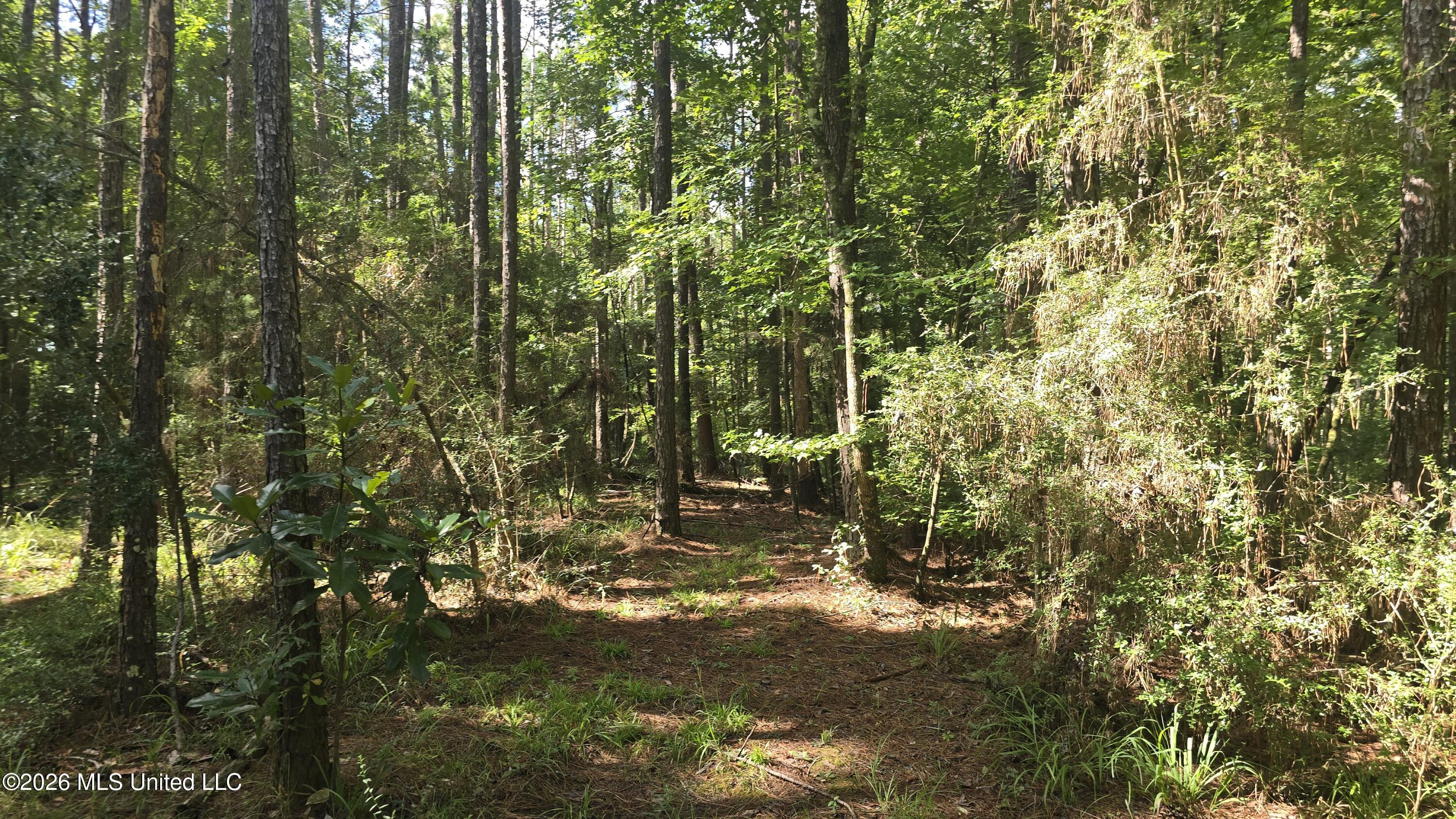 3190 Ne Quentin Tower Road Property Photo 18