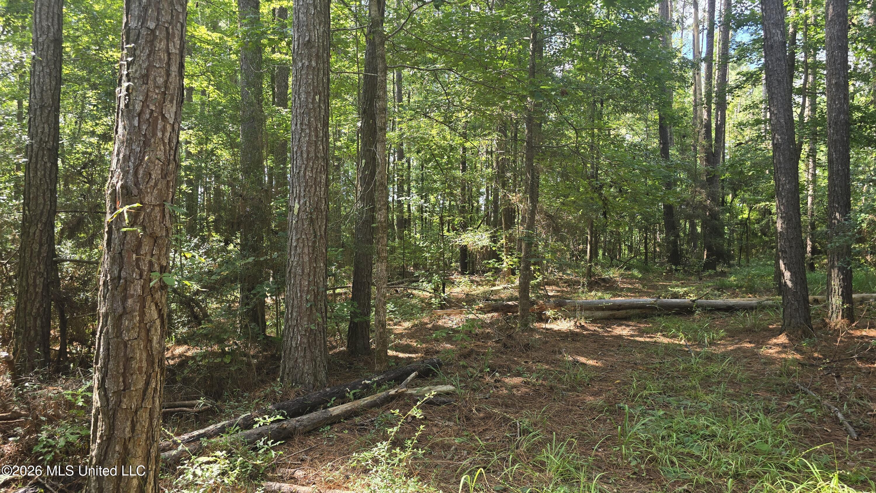 3190 Ne Quentin Tower Road Property Photo 22