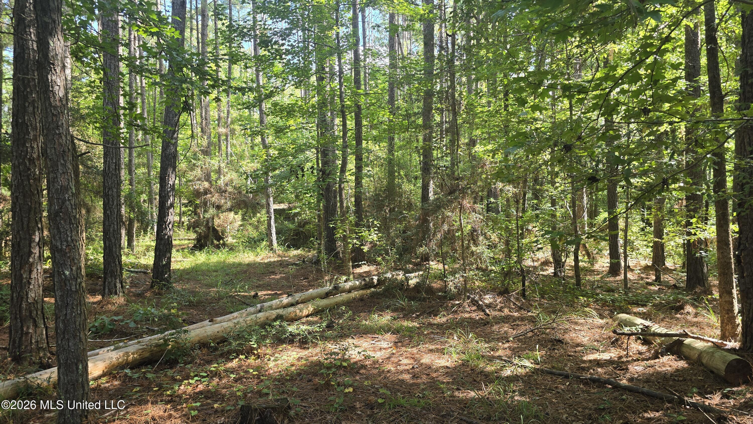3190 Ne Quentin Tower Road Property Photo 24