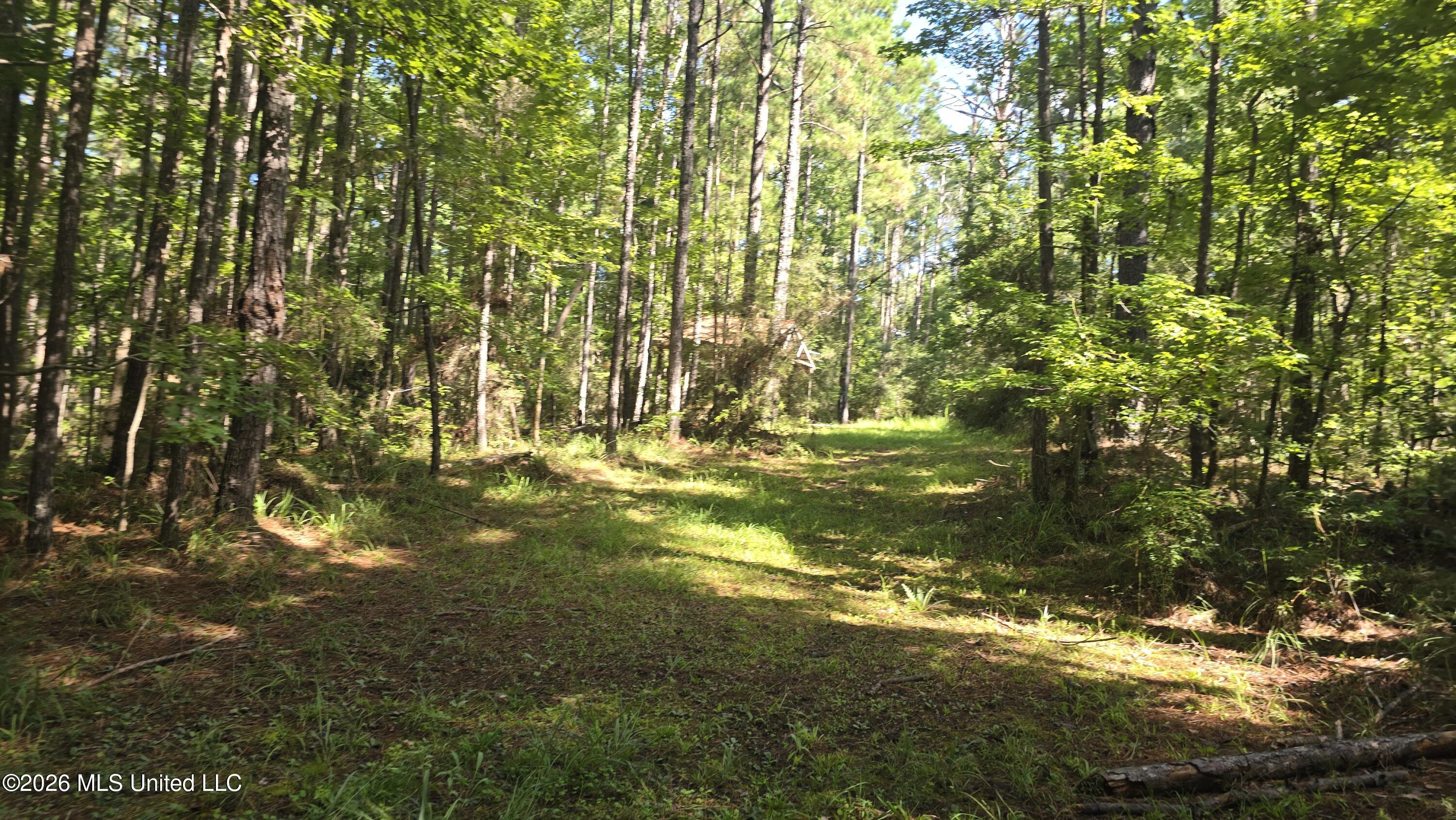 3190 Ne Quentin Tower Road Property Photo 25