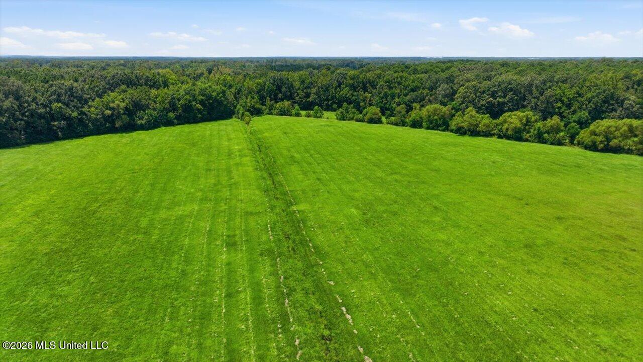 428 Country Club Road Property Photo 17