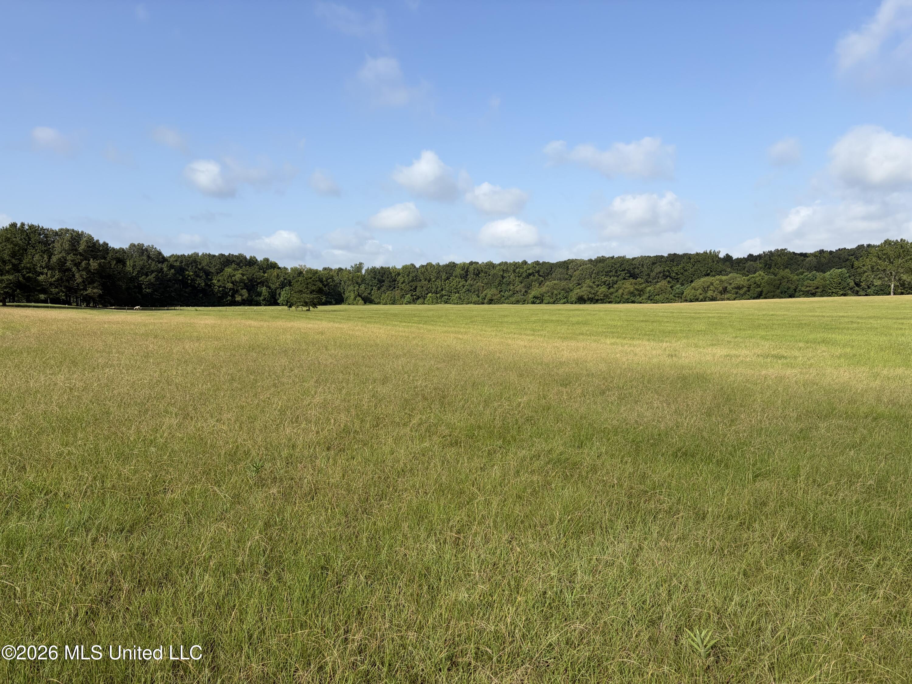 428 Country Club Road Property Photo 34