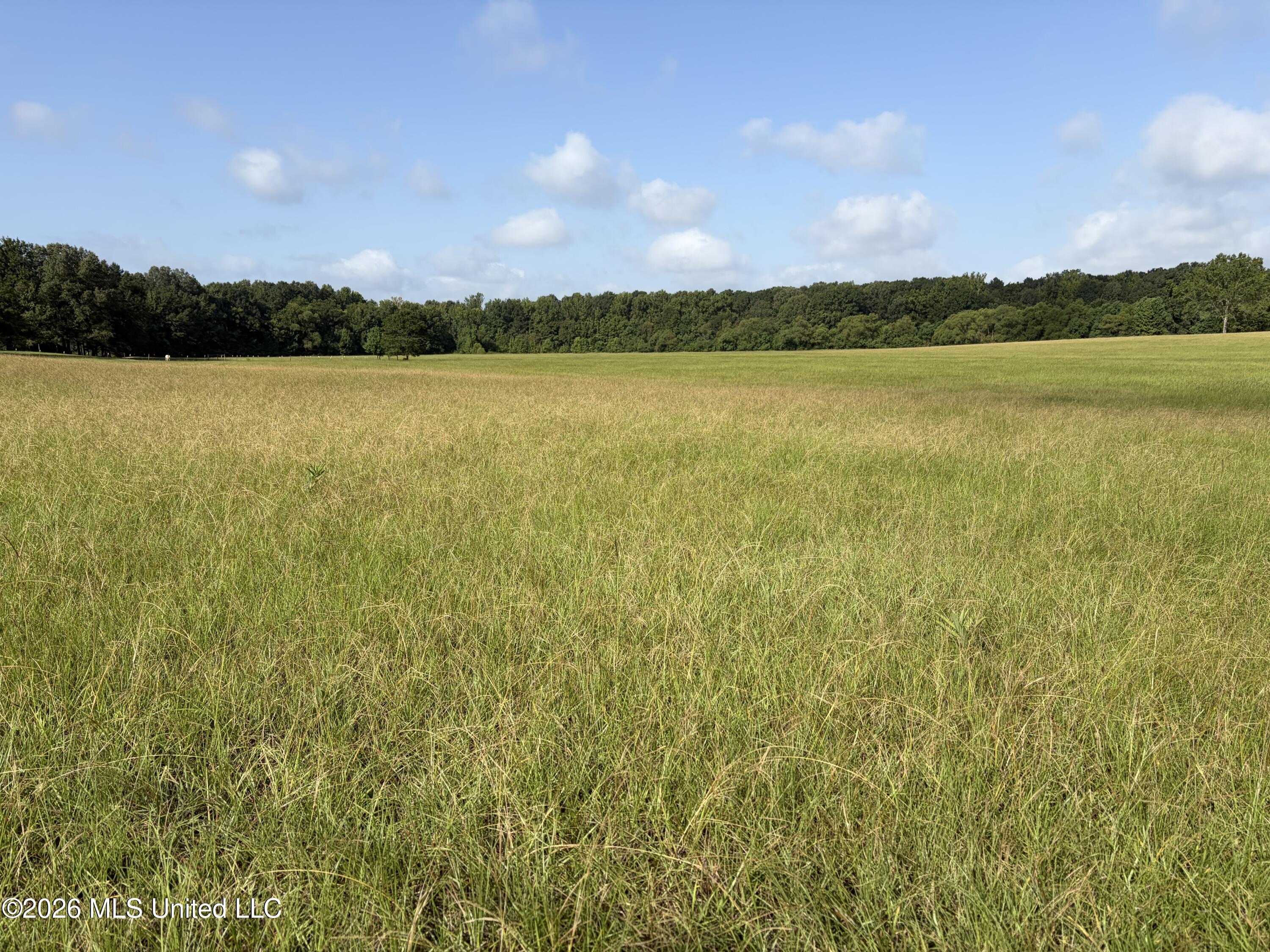 428 Country Club Road Property Photo 35