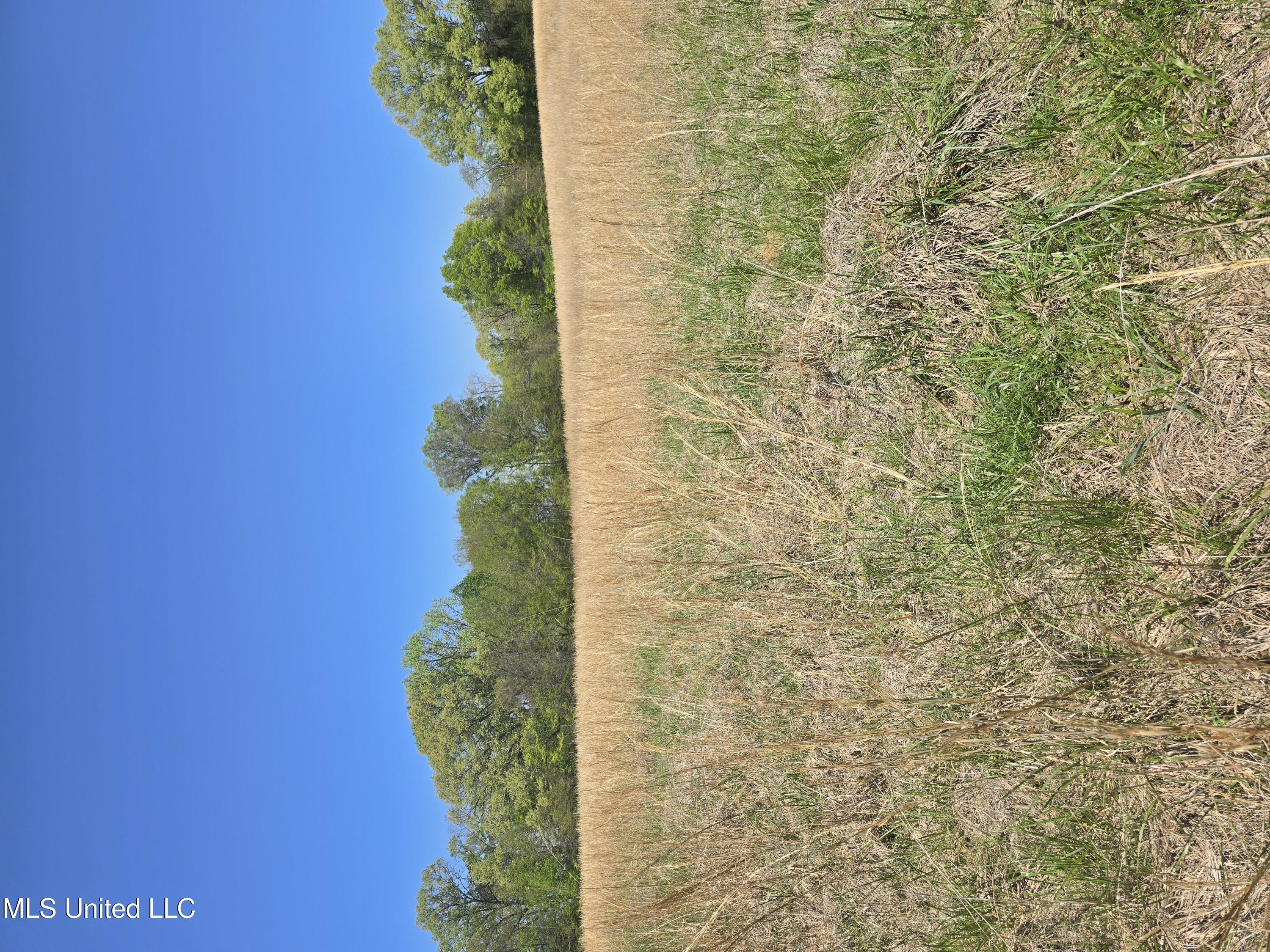 Melanie Lane Property Photo 1