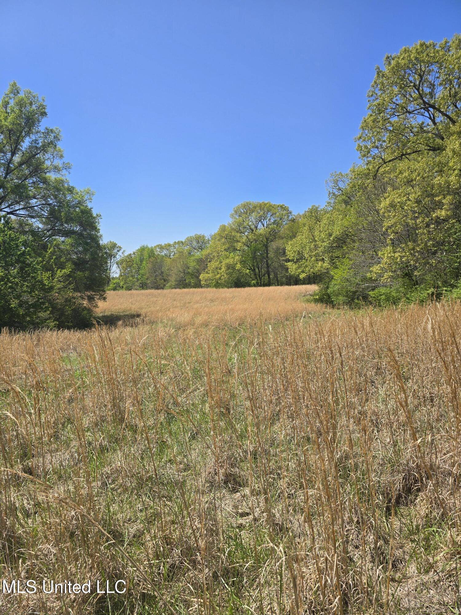Melanie Lane Property Photo 2