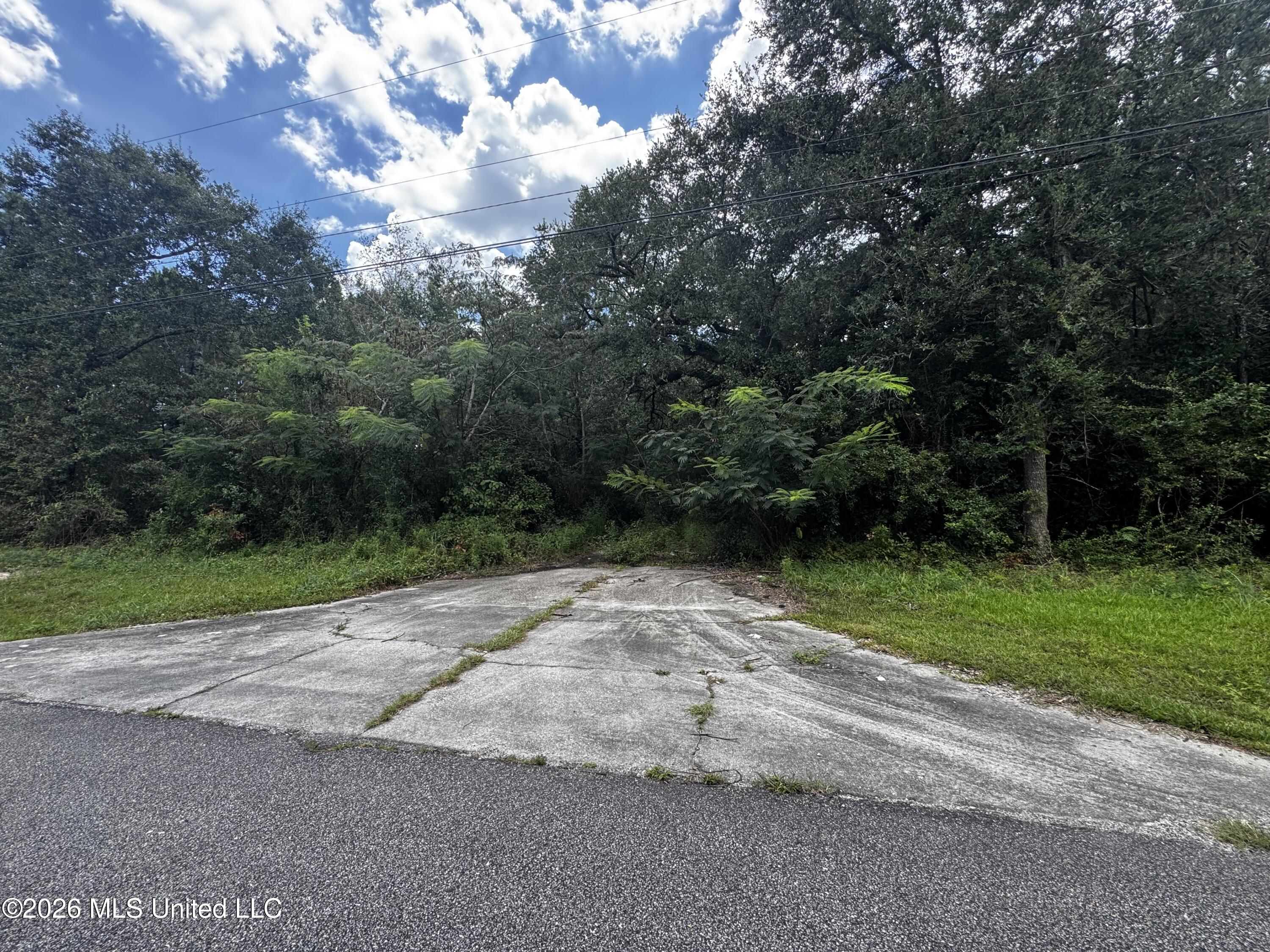 601 Brown Avenue Property Photo 2