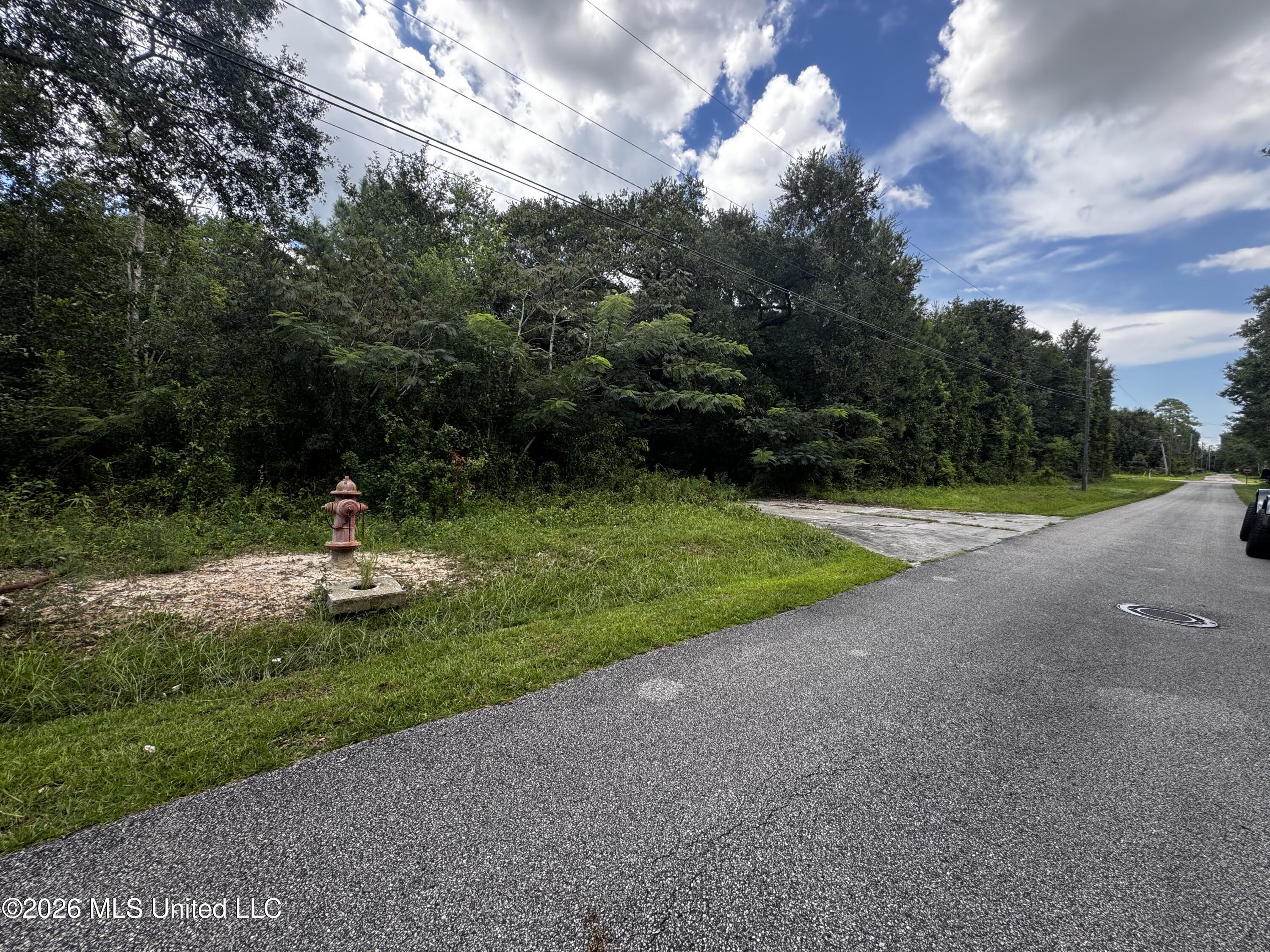 601 Brown Avenue Property Photo 3