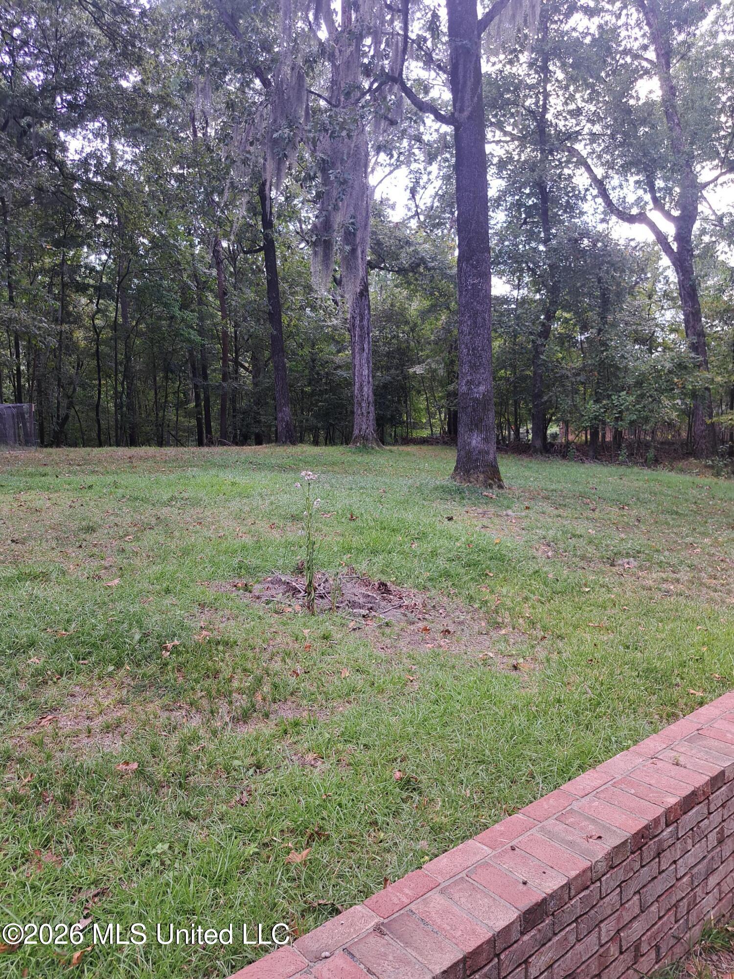 708 Laney Drive Property Photo 24