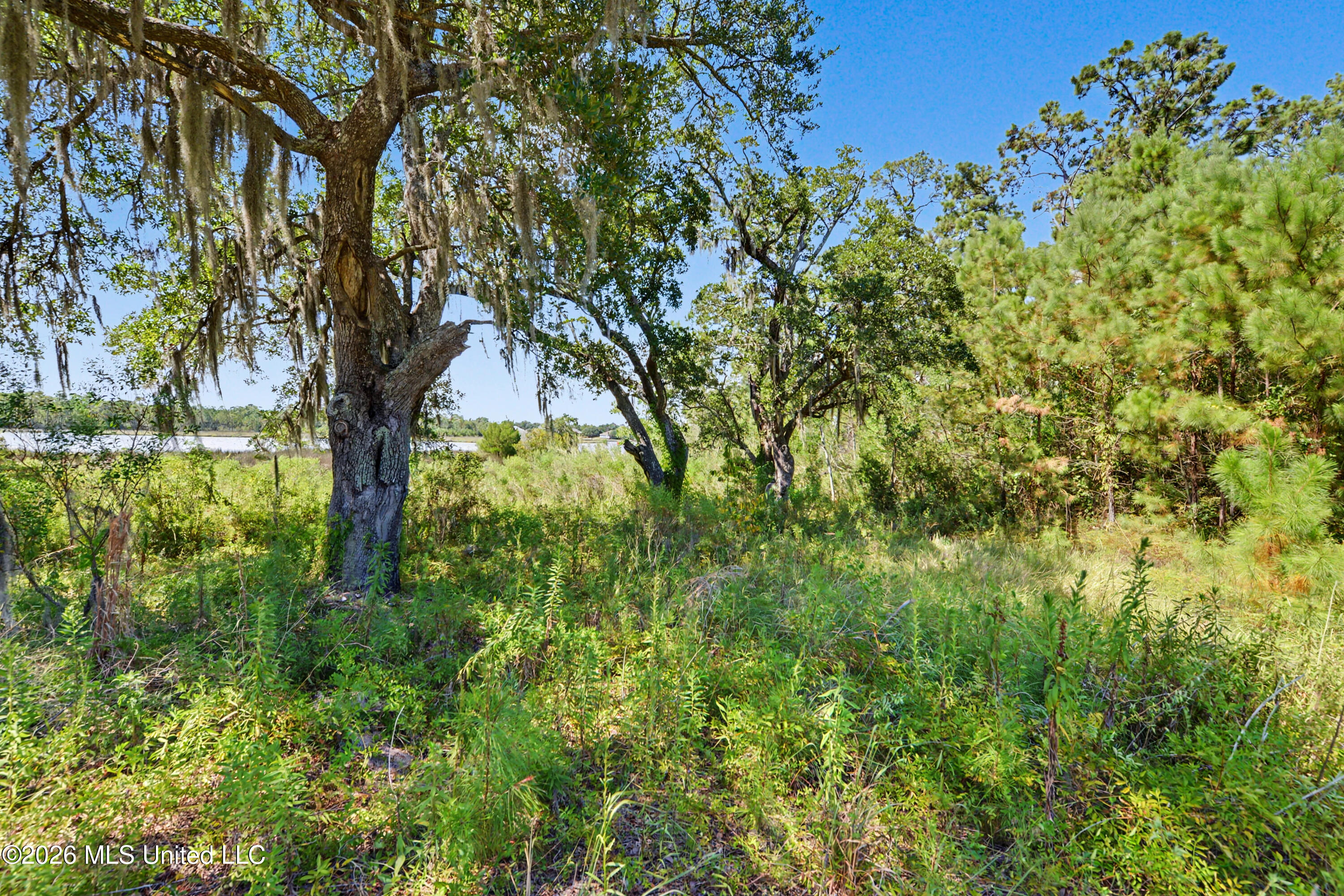 6209 Point Porteaux Road Property Photo 17