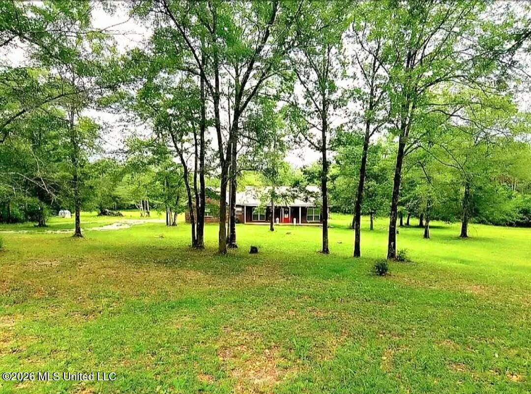 23220 Red Bluff Road Property Photo 2
