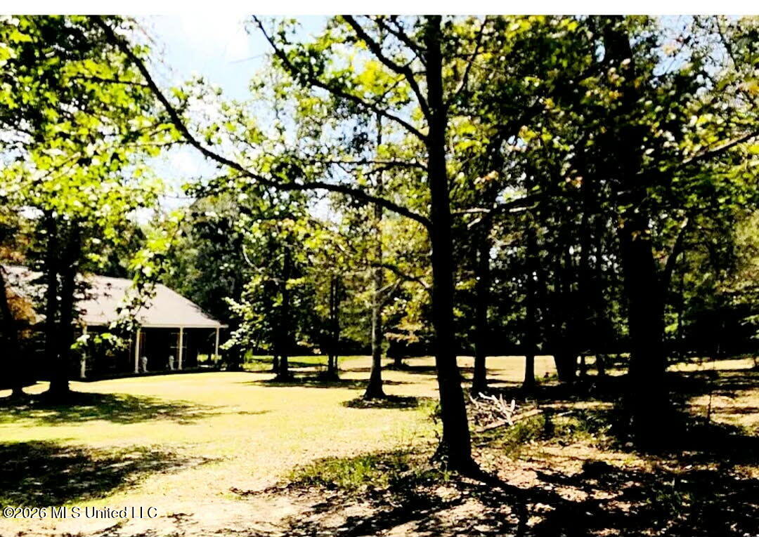 23220 Red Bluff Road Property Photo 3