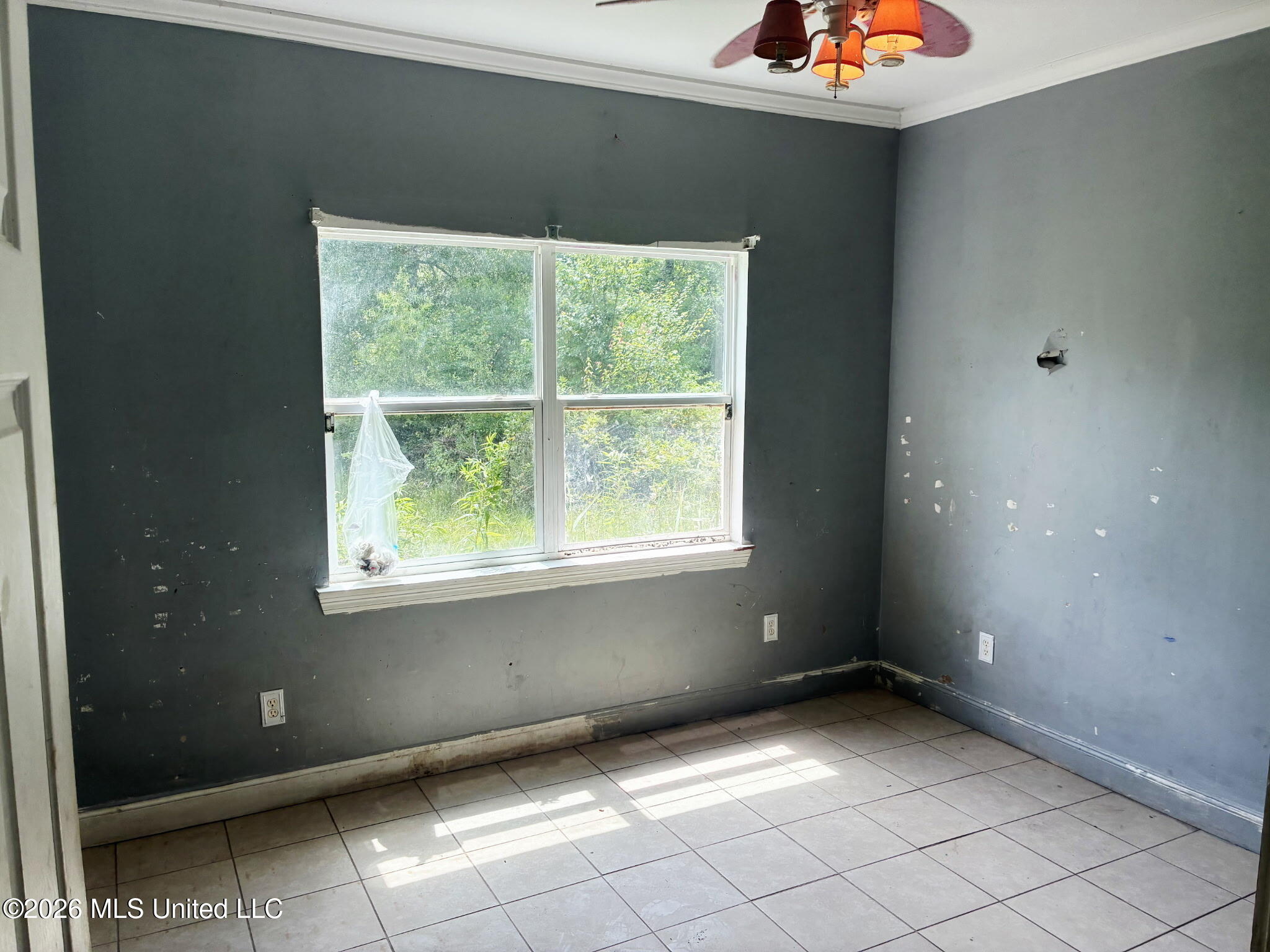23220 Red Bluff Road Property Photo 5