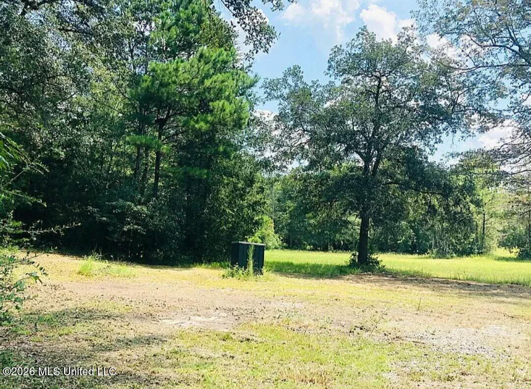 23220 Red Bluff Road Property Photo 14