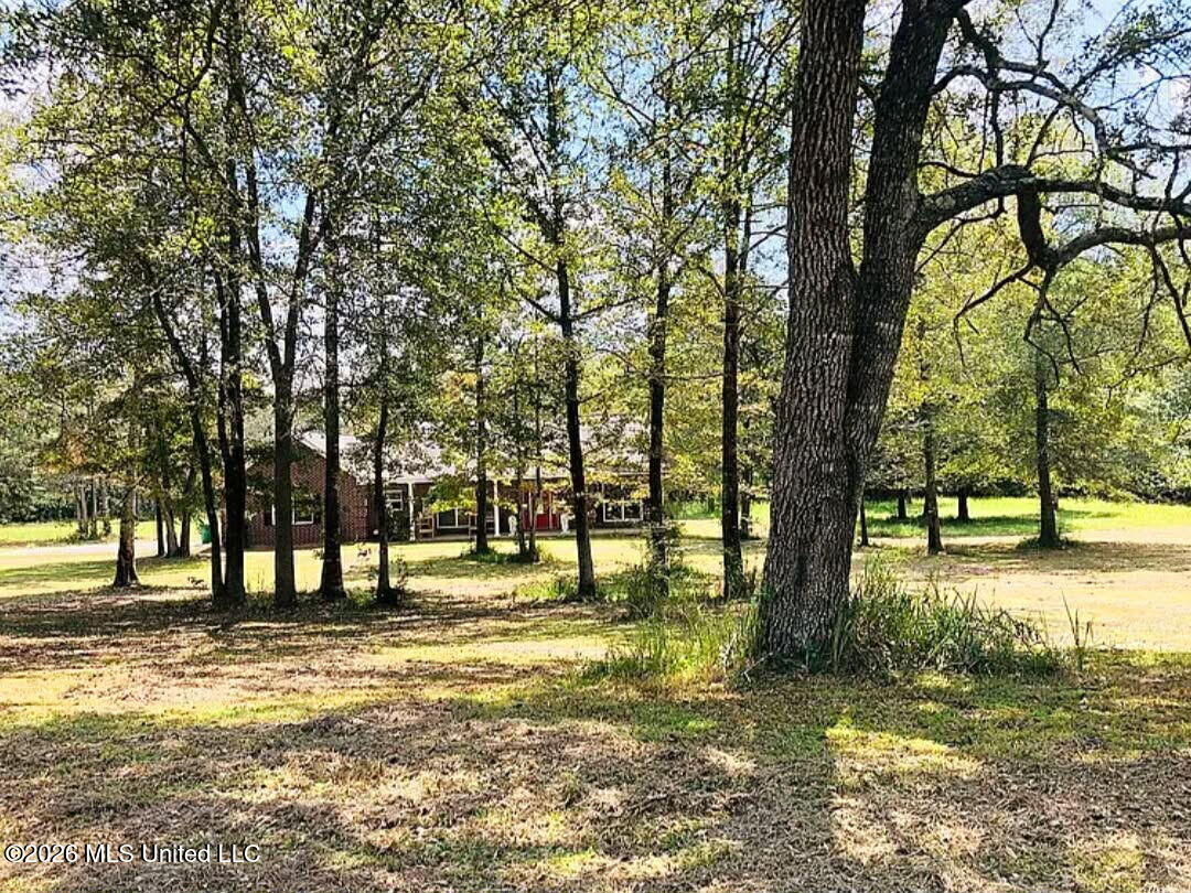 23220 Red Bluff Road Property Photo 16