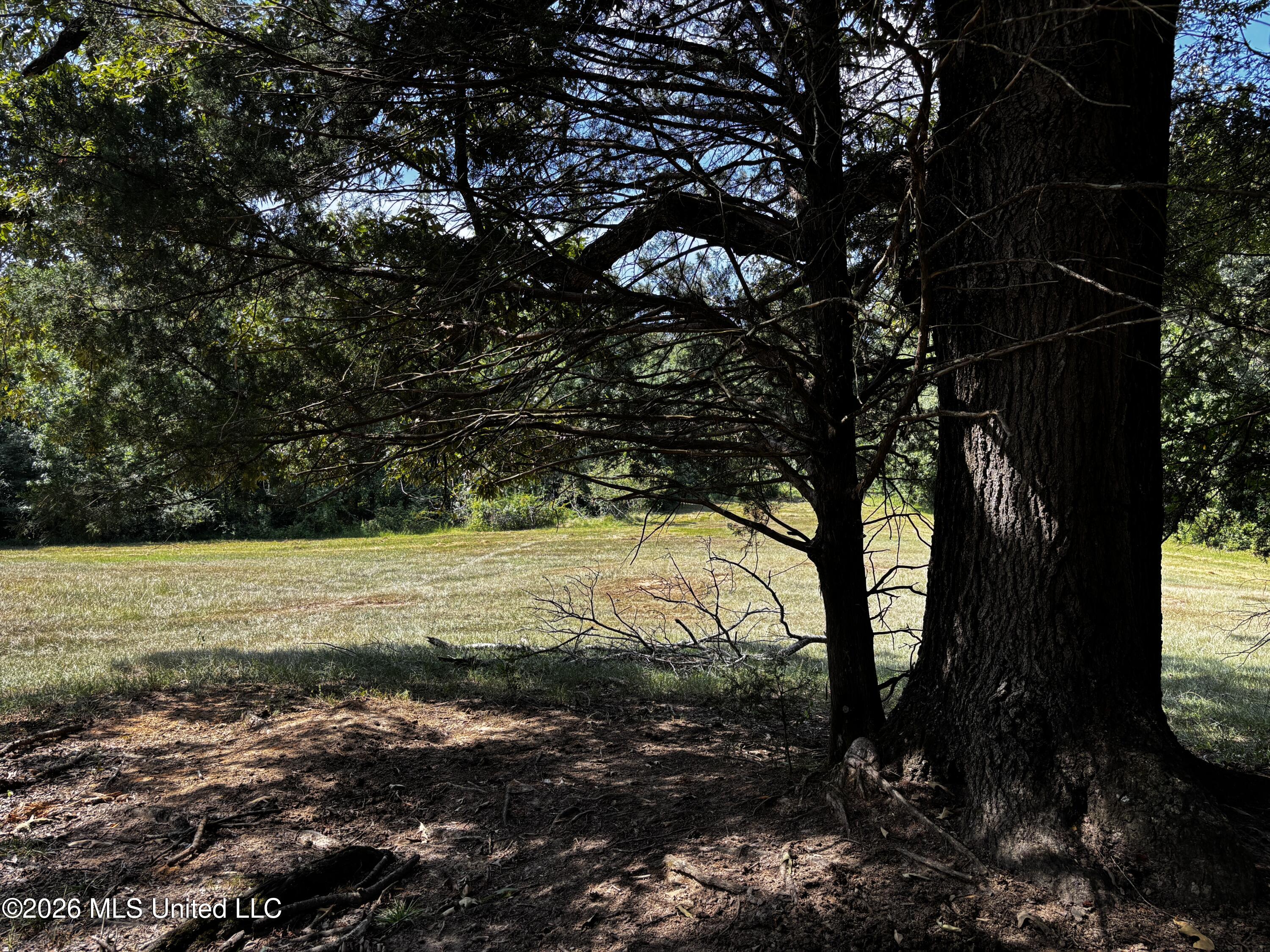 Still Road Property Photo 17