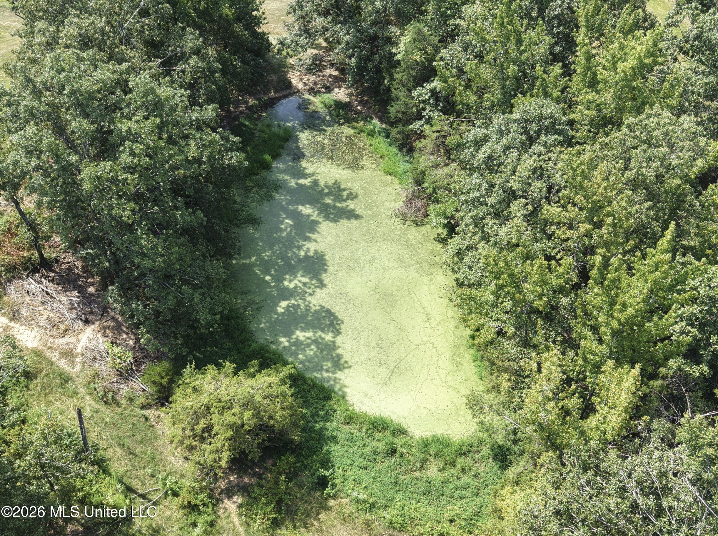 Still Road Property Photo 24