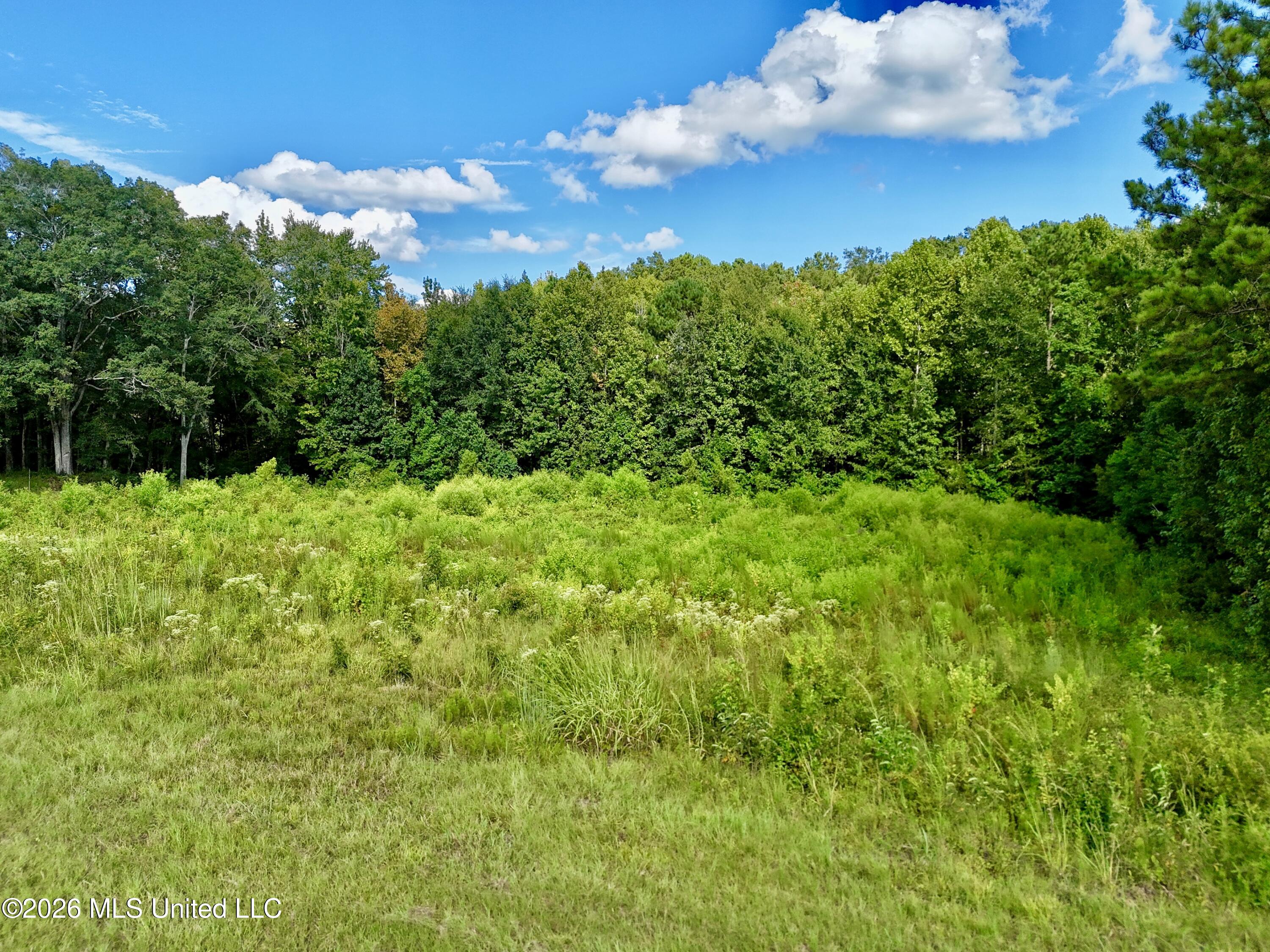 0001 Hwy 471 Property Photo 4