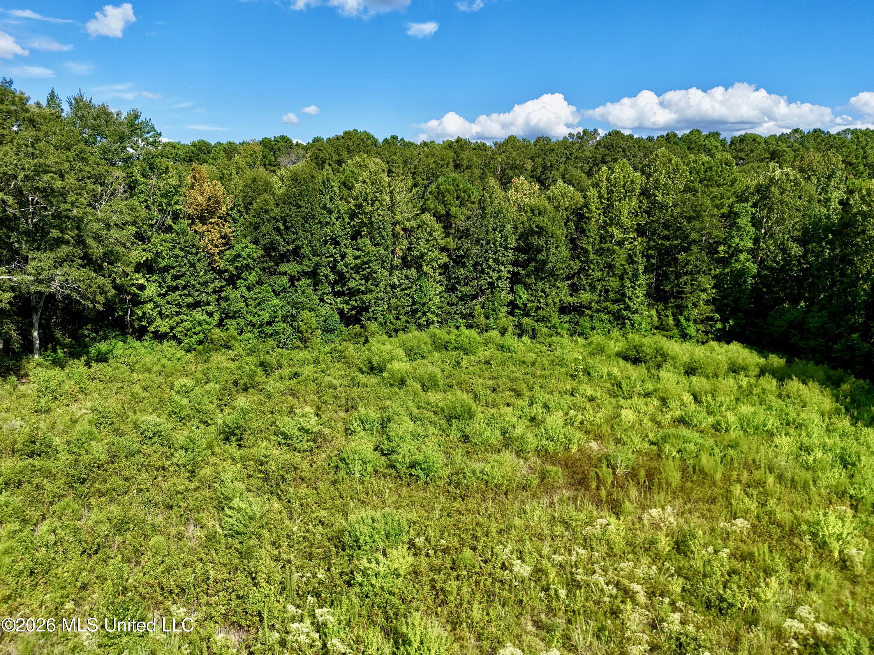 0001 Hwy 471 Property Photo 11