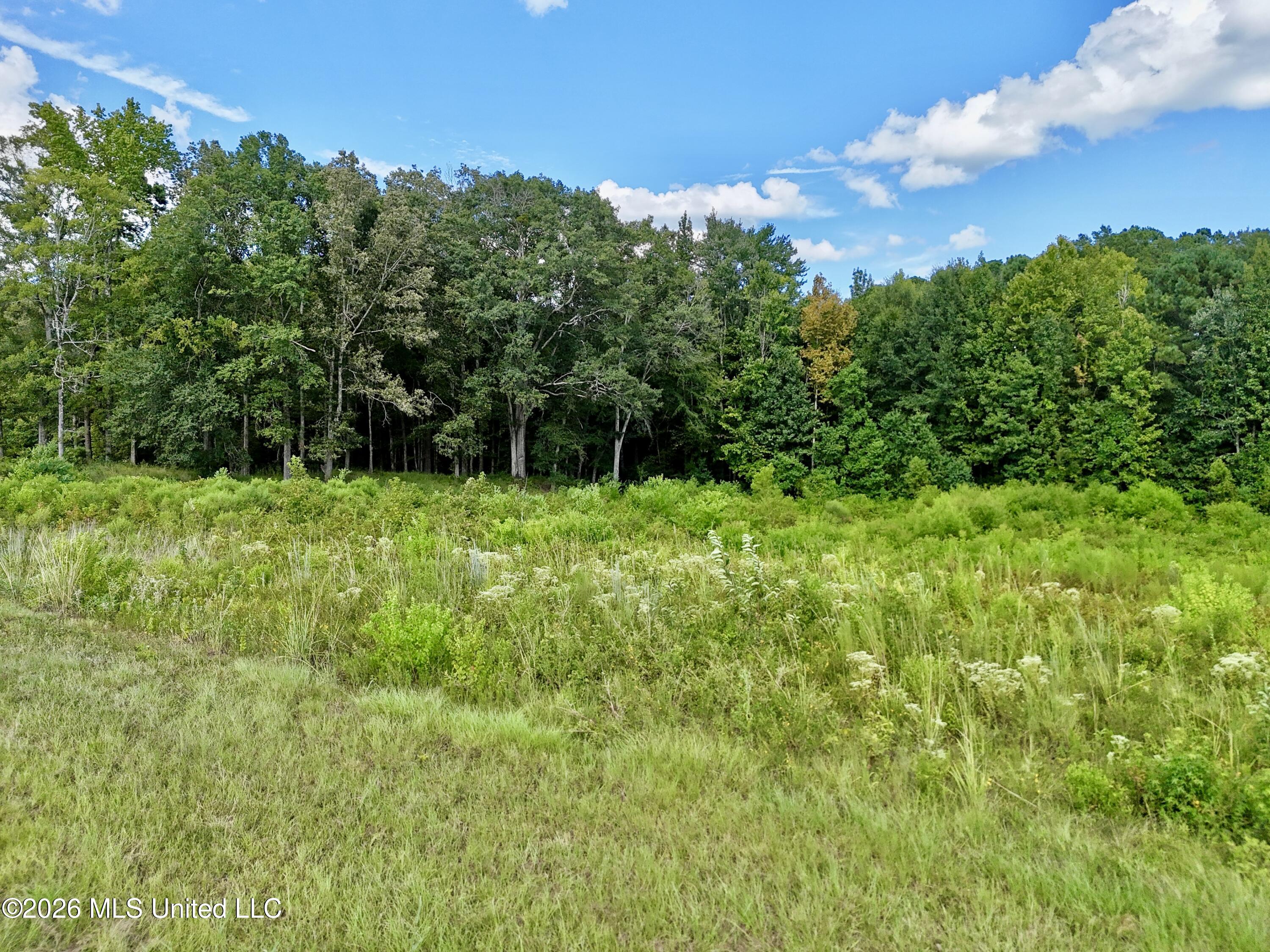0001 Hwy 471 Property Photo 14