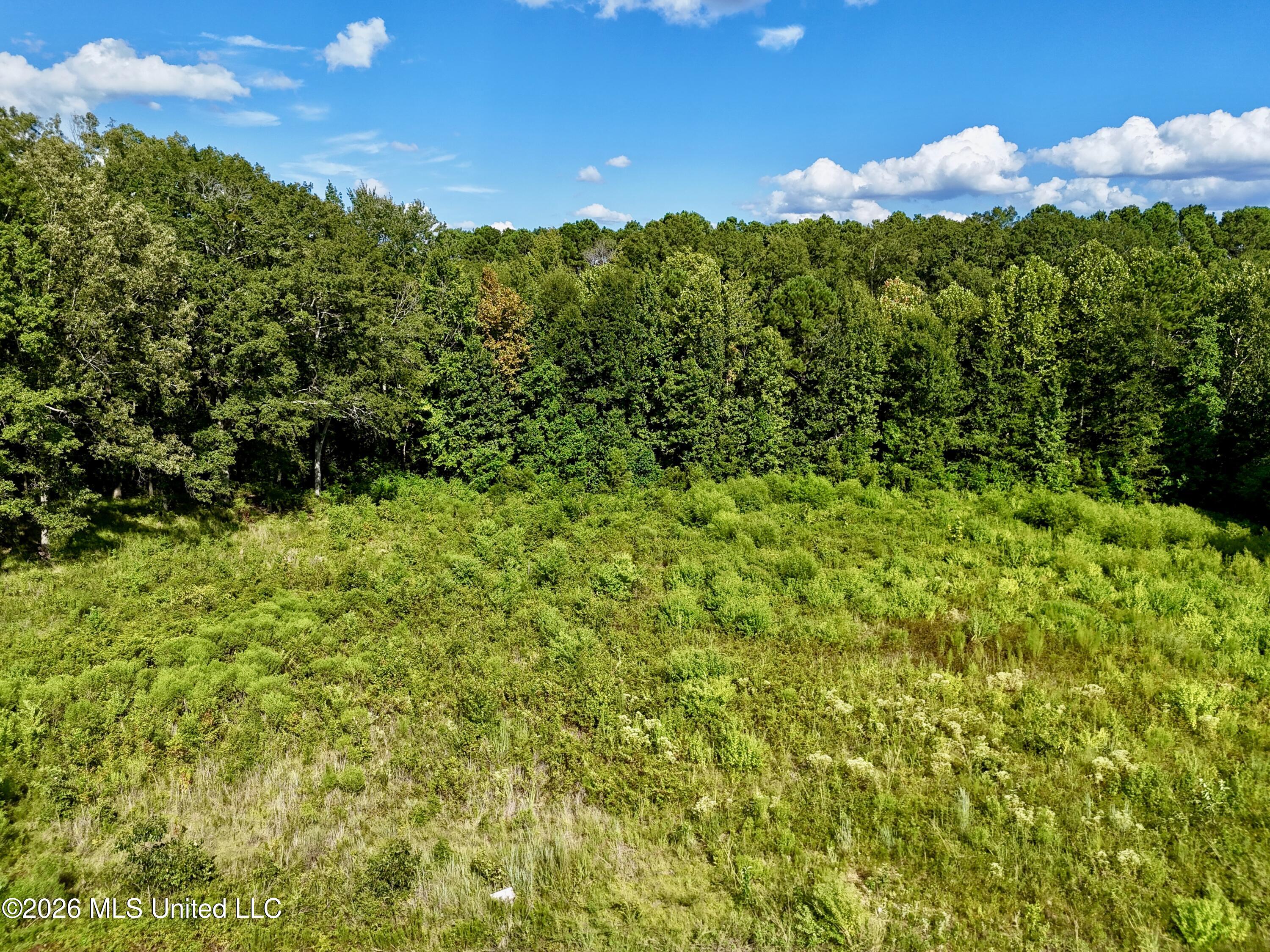 0001 Hwy 471 Property Photo 18
