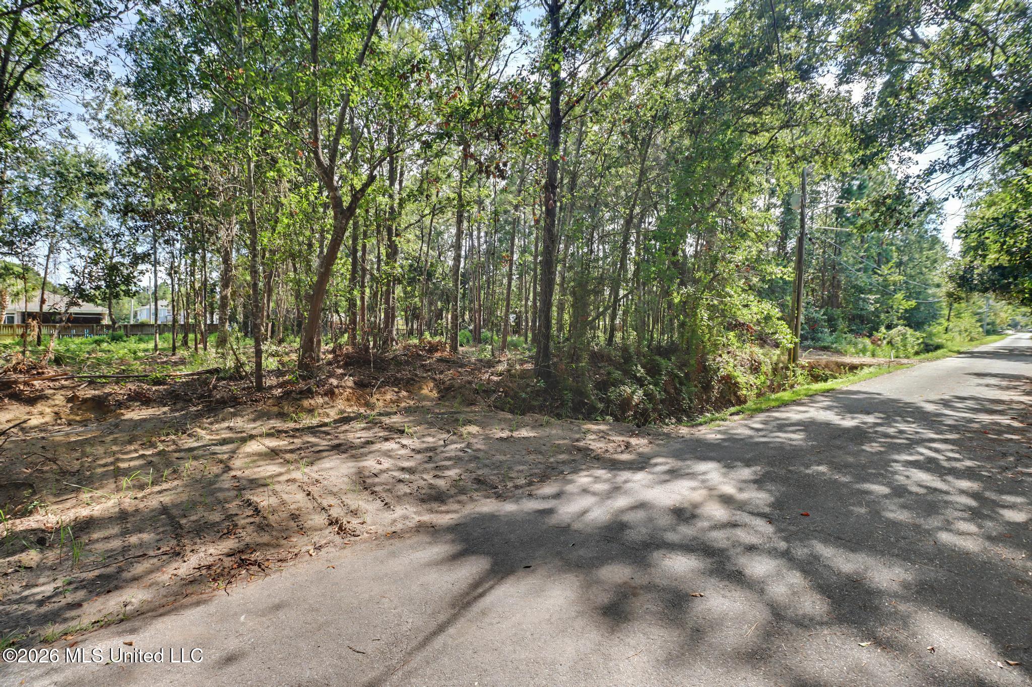 116 Robinson Street Property Photo 1