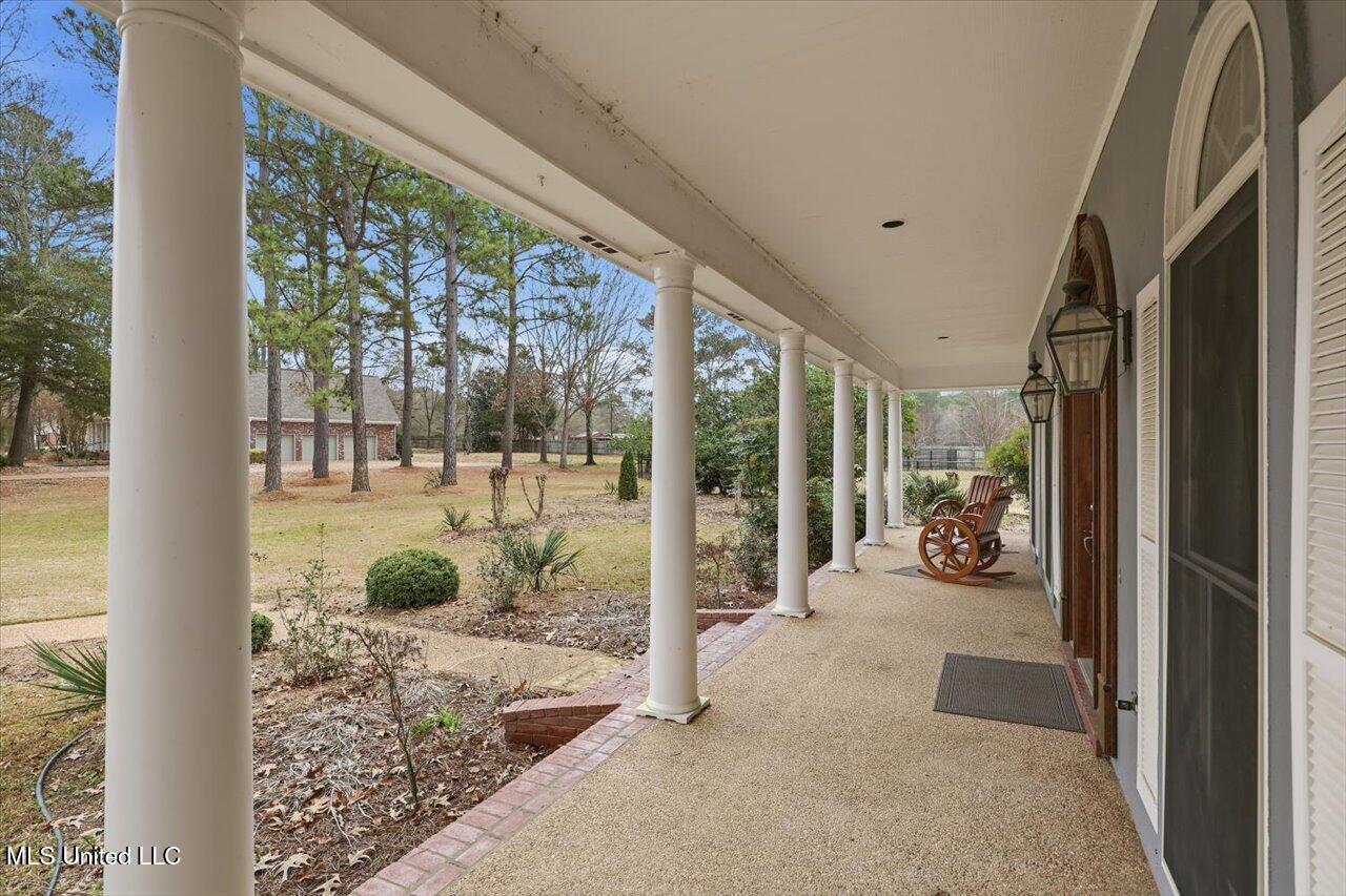 112 Saddle Creek Cove Property Photo 6