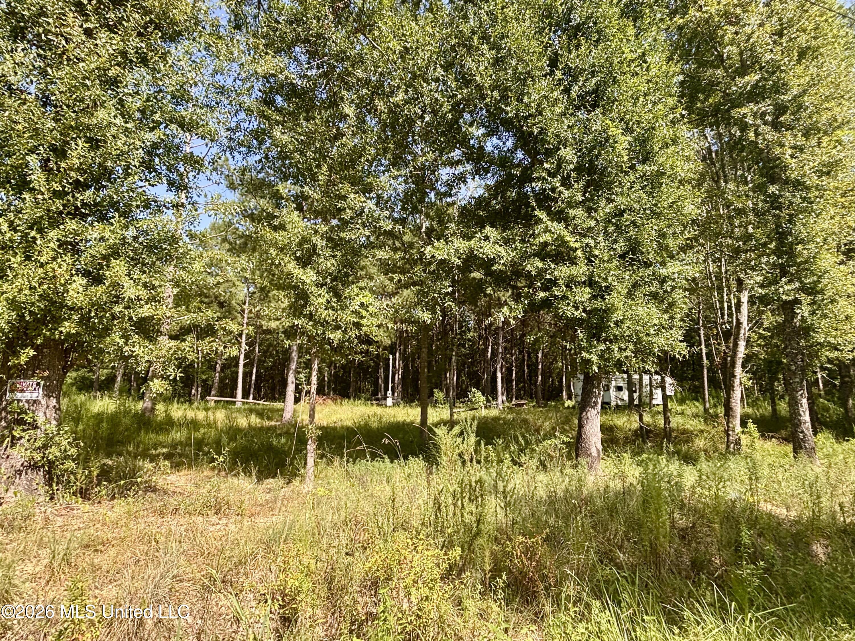 0 Robert Rhodes Property Photo 2