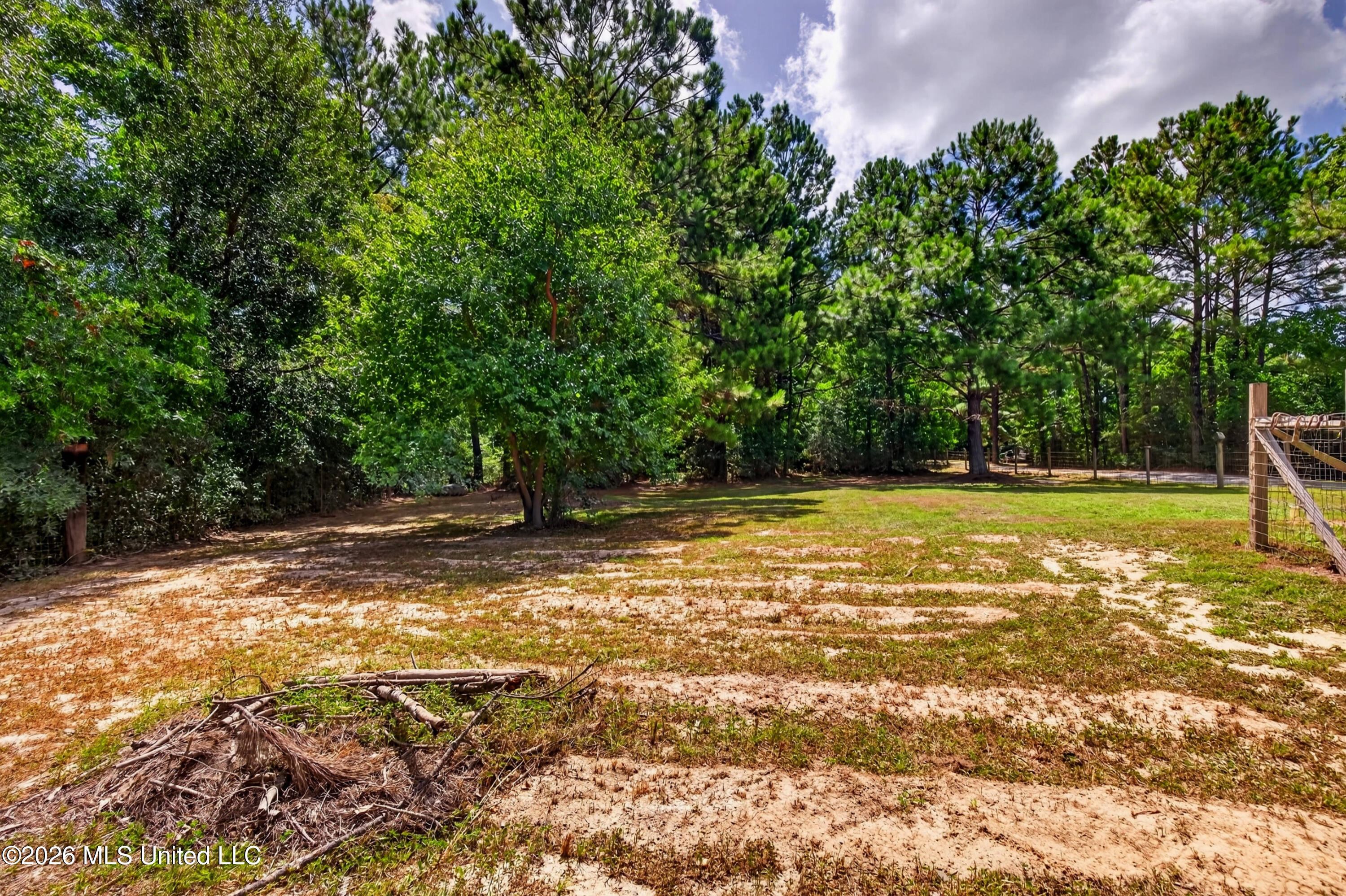 7303 Magnolia Drive Property Photo 9