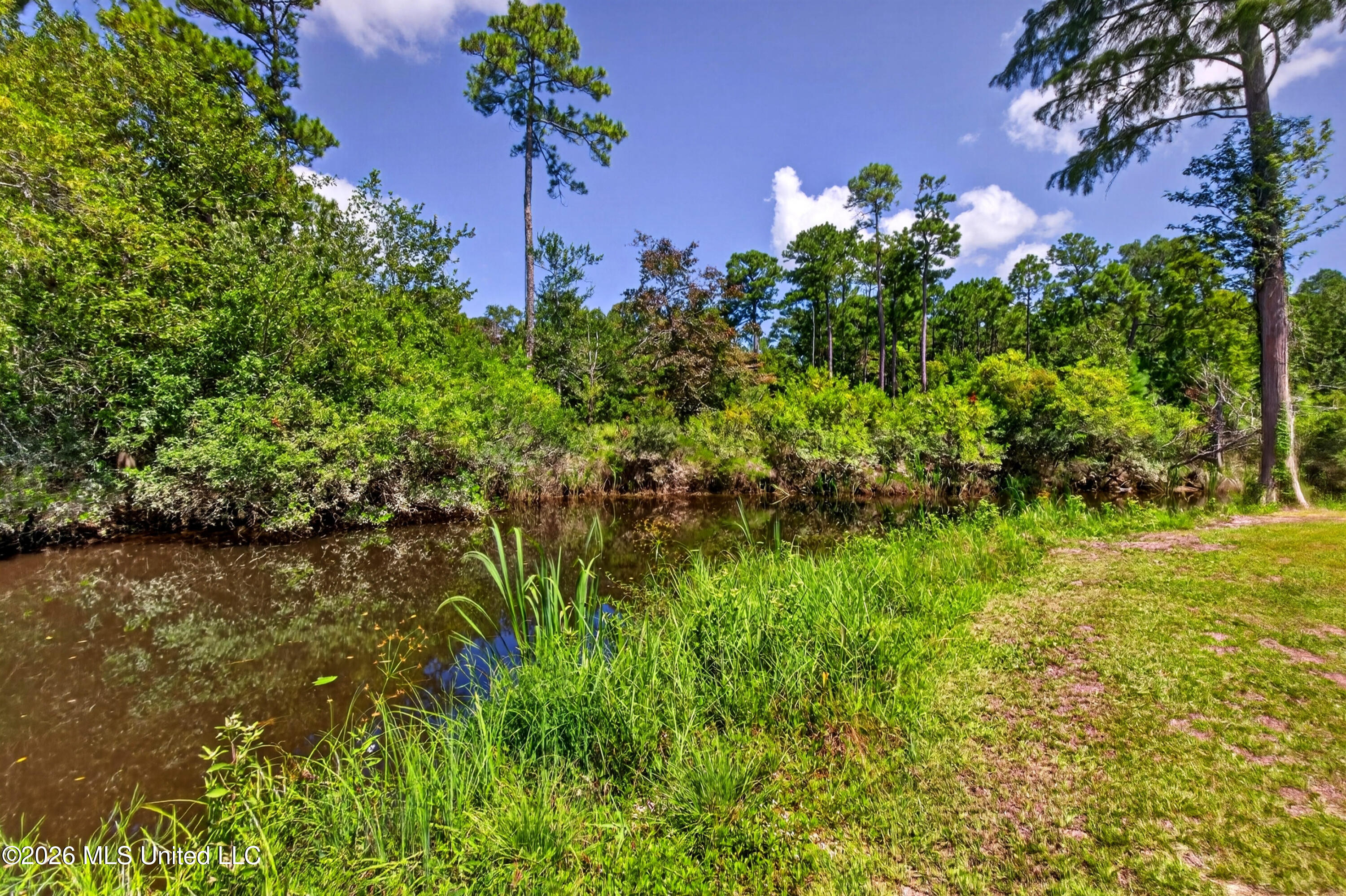 7303 Magnolia Drive Property Photo 44