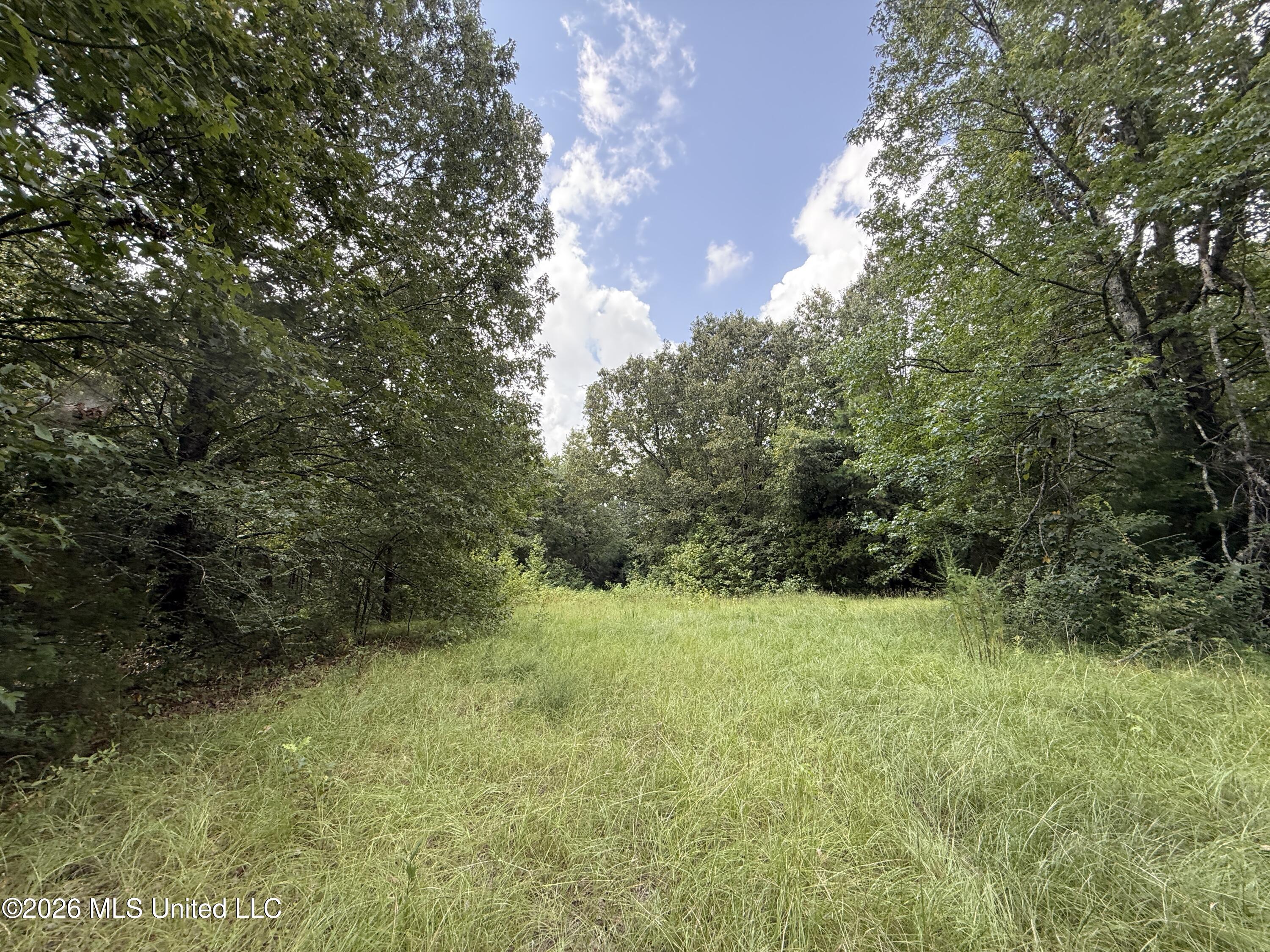 Ebenezer-coxburg Road Property Photo 10