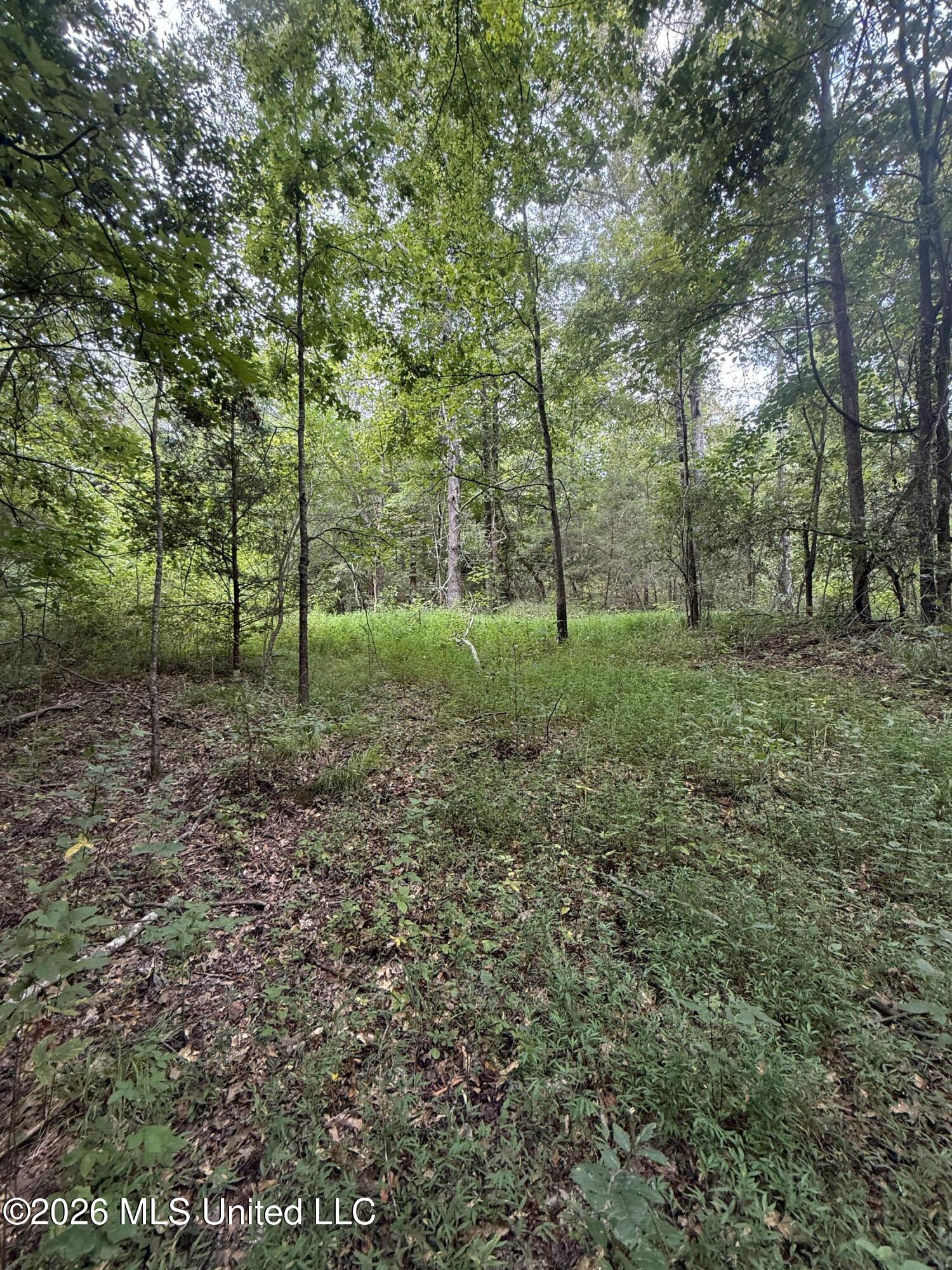 Ebenezer-coxburg Road Property Photo 18