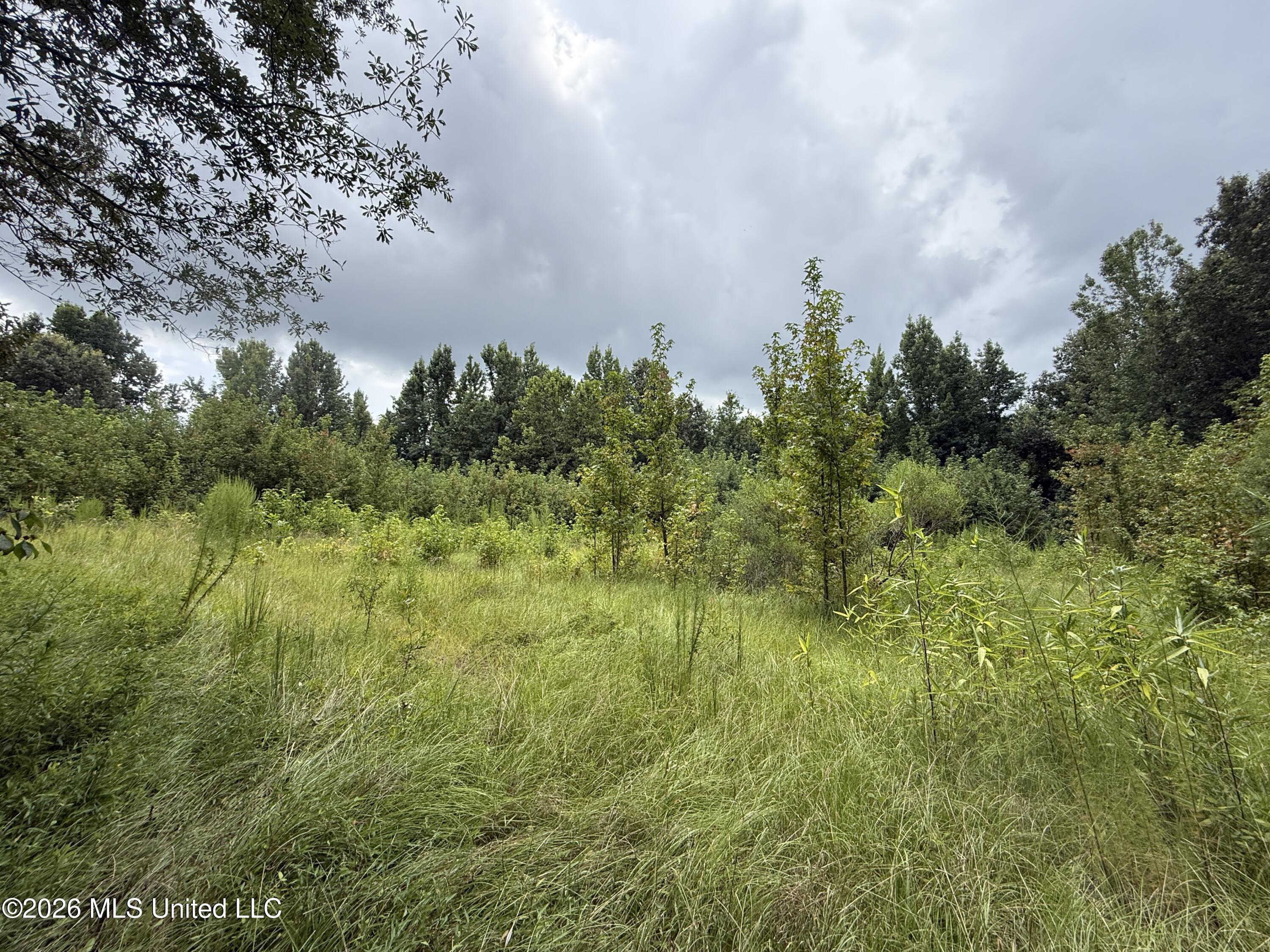 Ebenezer-coxburg Road Property Photo 19