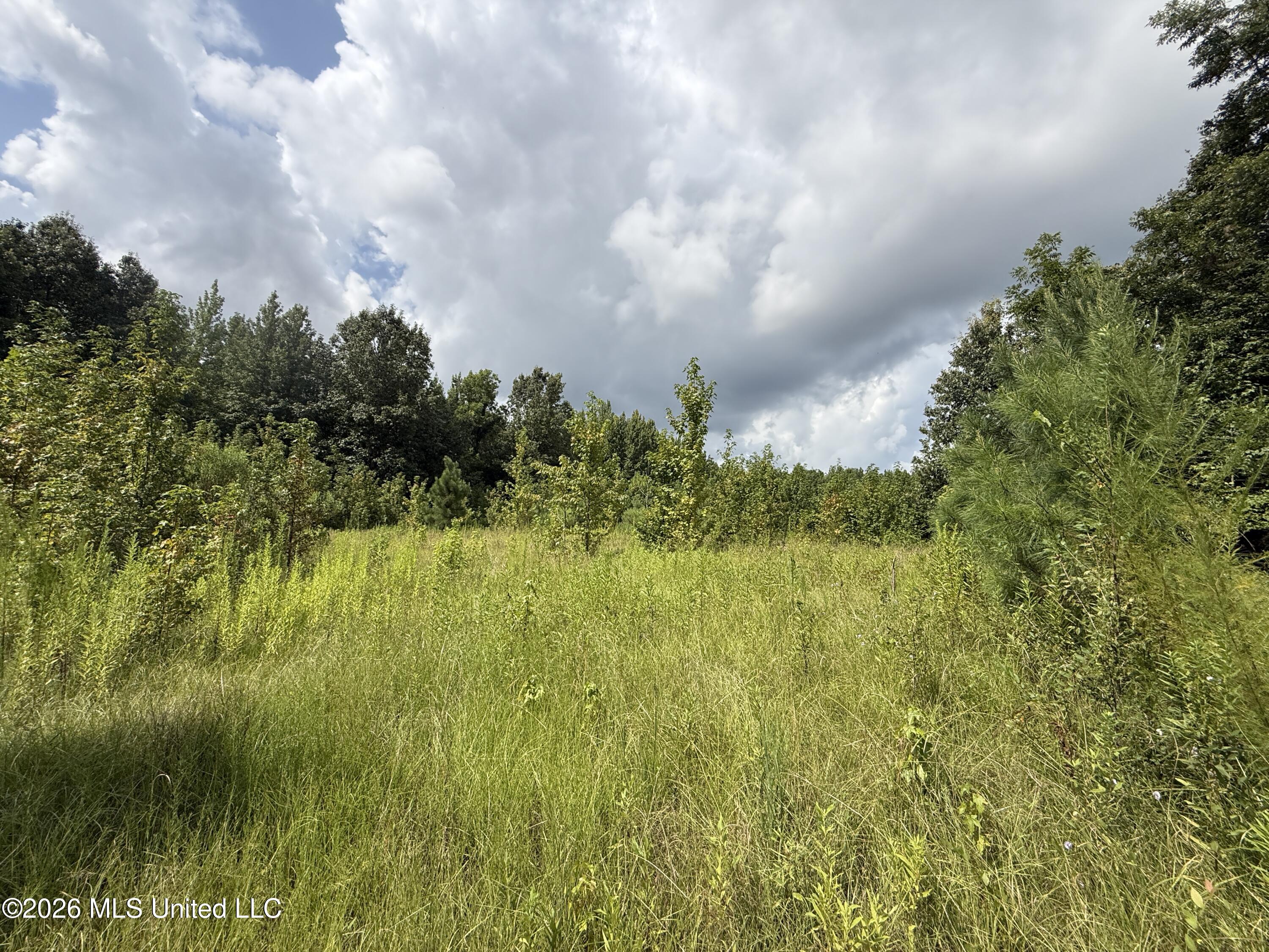 Ebenezer-coxburg Road Property Photo 21