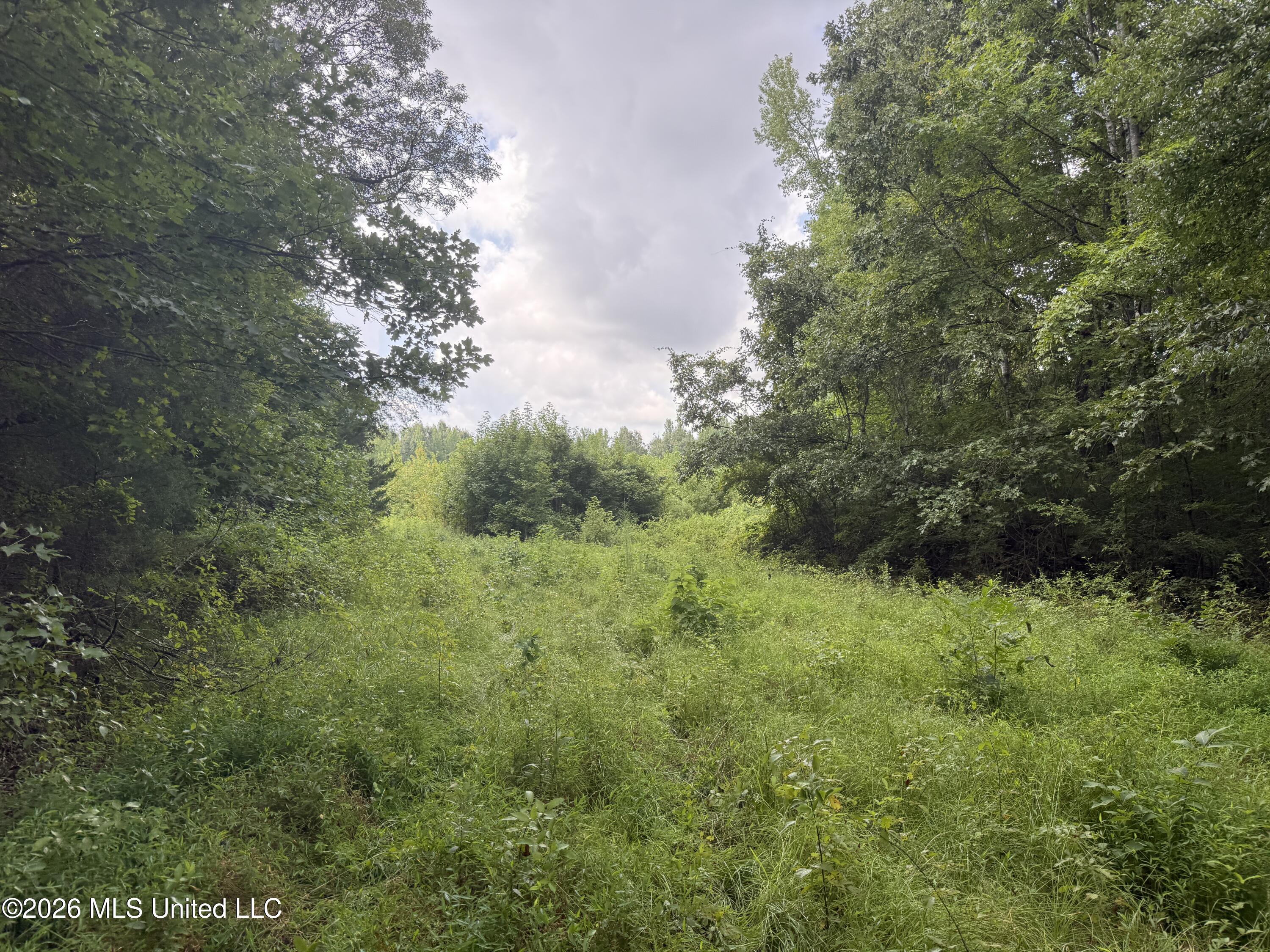 Ebenezer-coxburg Road Property Photo 25