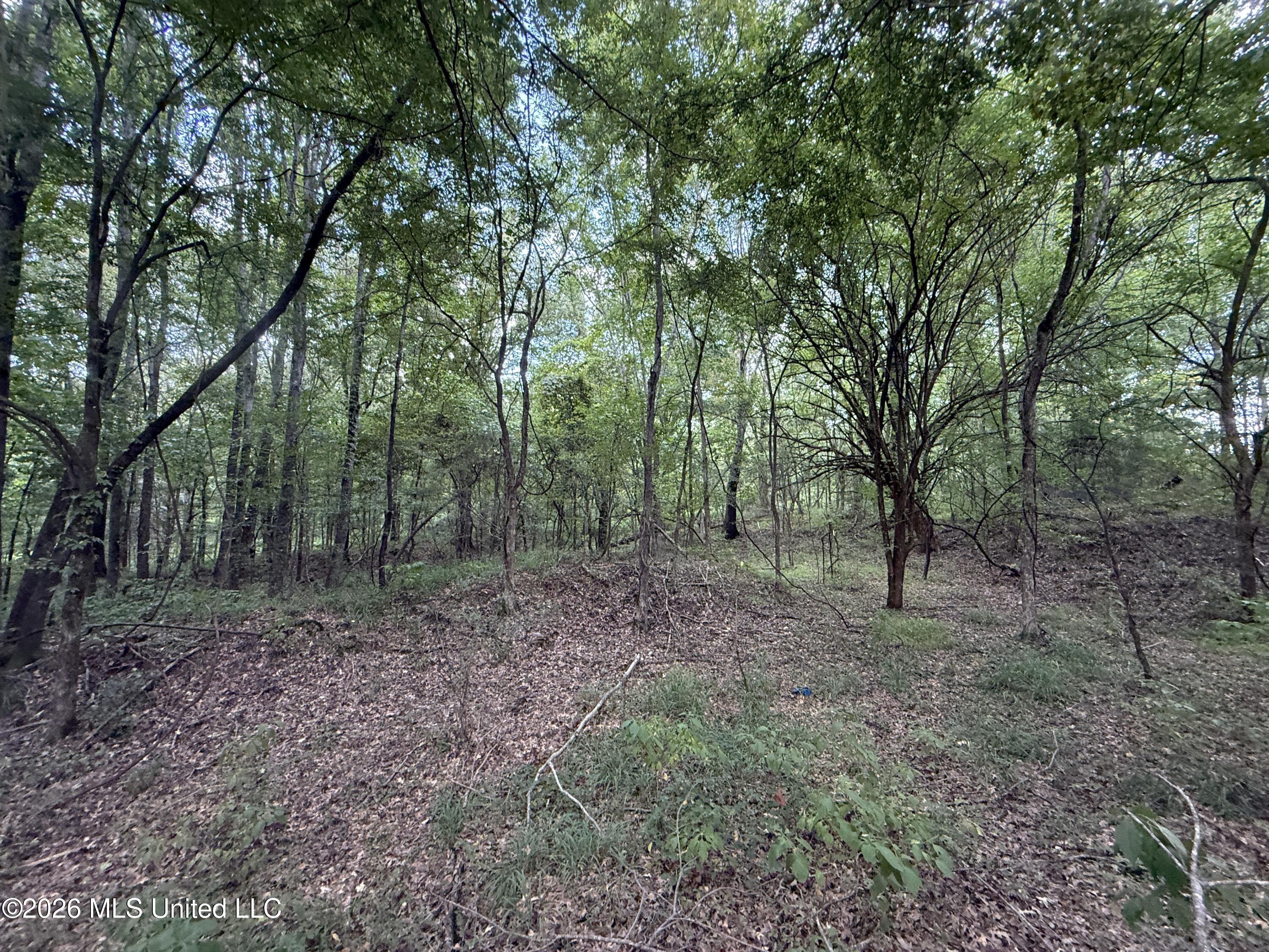 Ebenezer-coxburg Road Property Photo 26